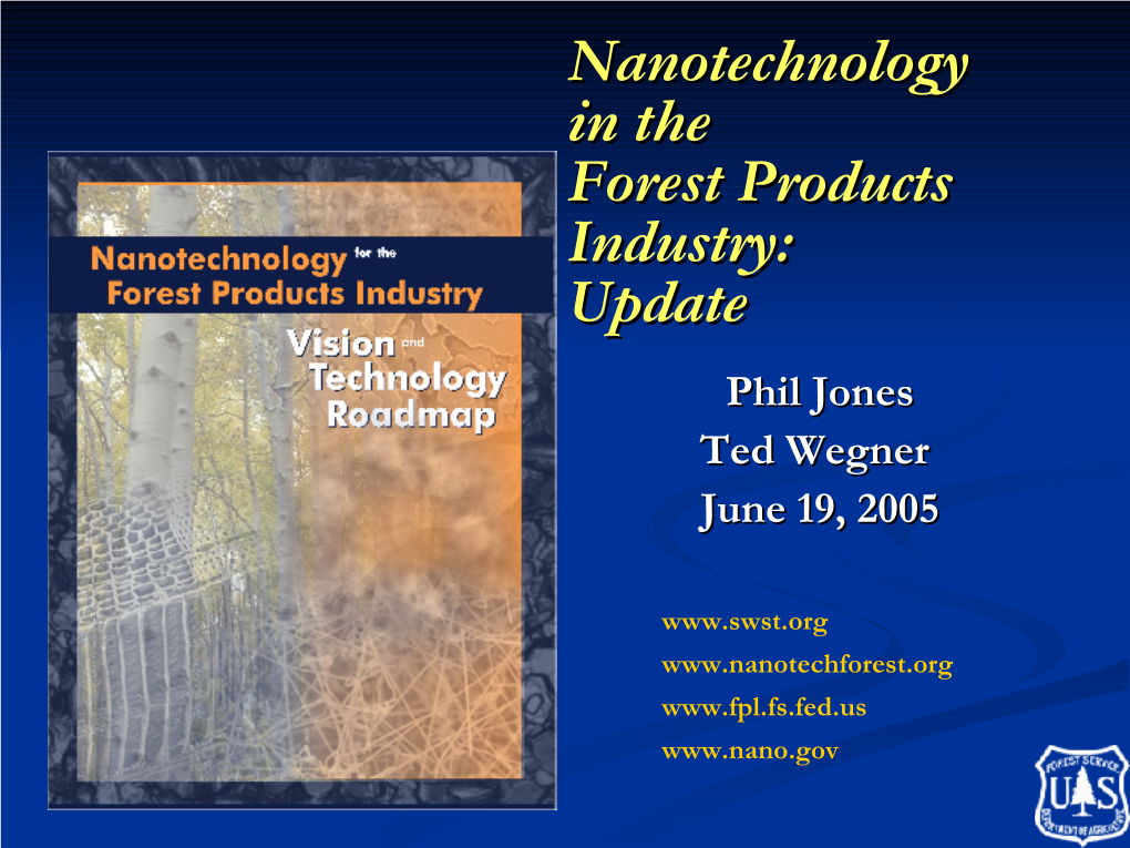 Nanotechnology in the Forest Products Industry