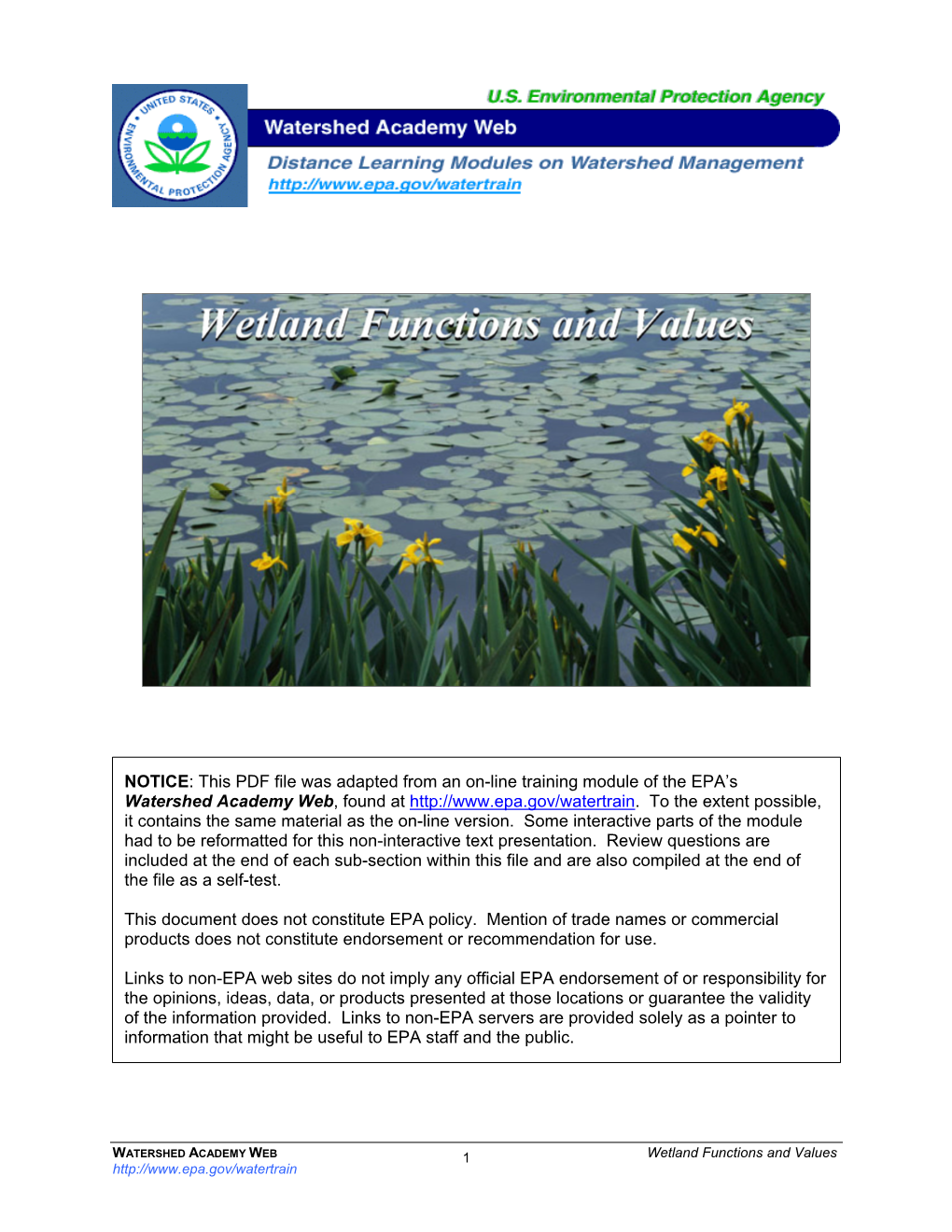 Wetland Functions and Values Introduction