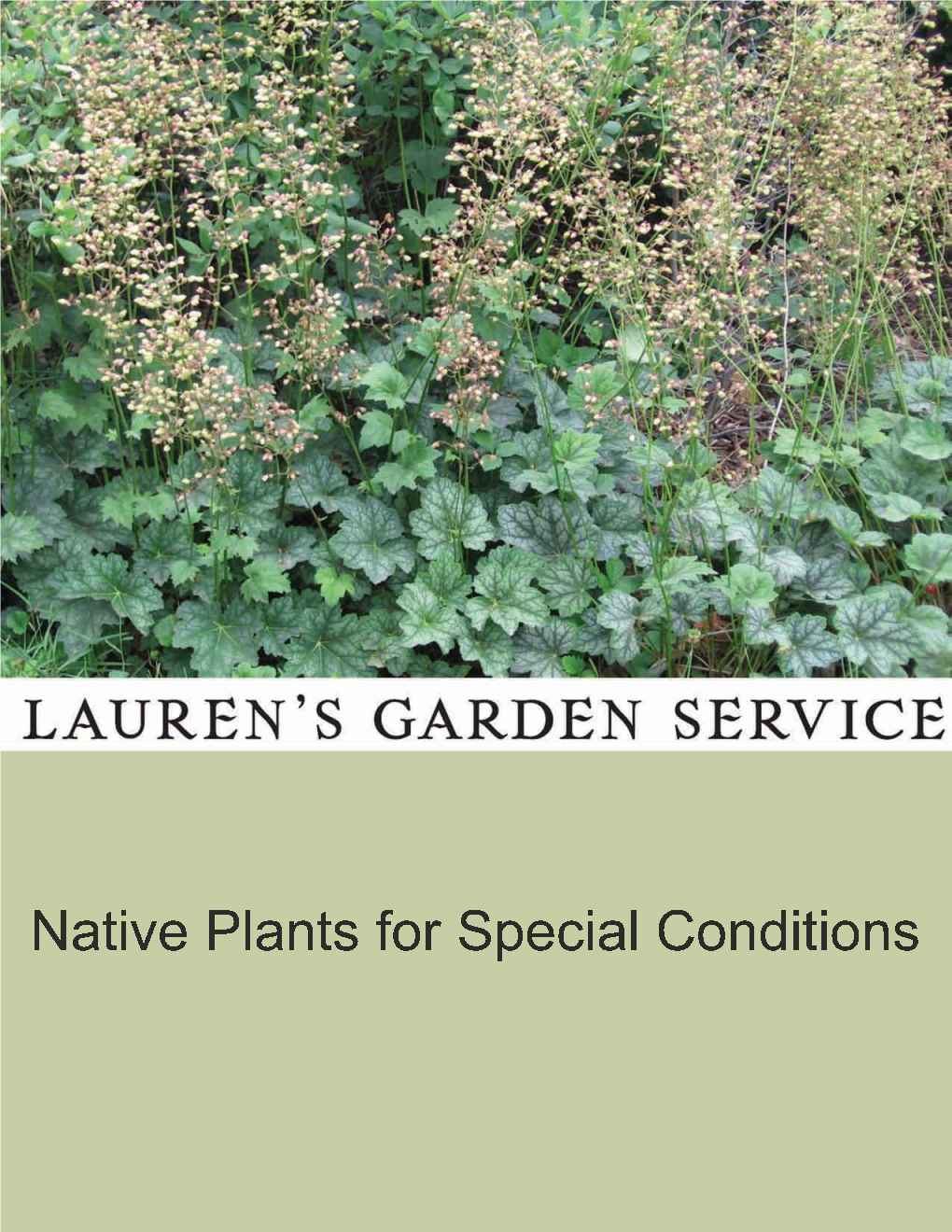 Locally Native Plants That Attract Bees