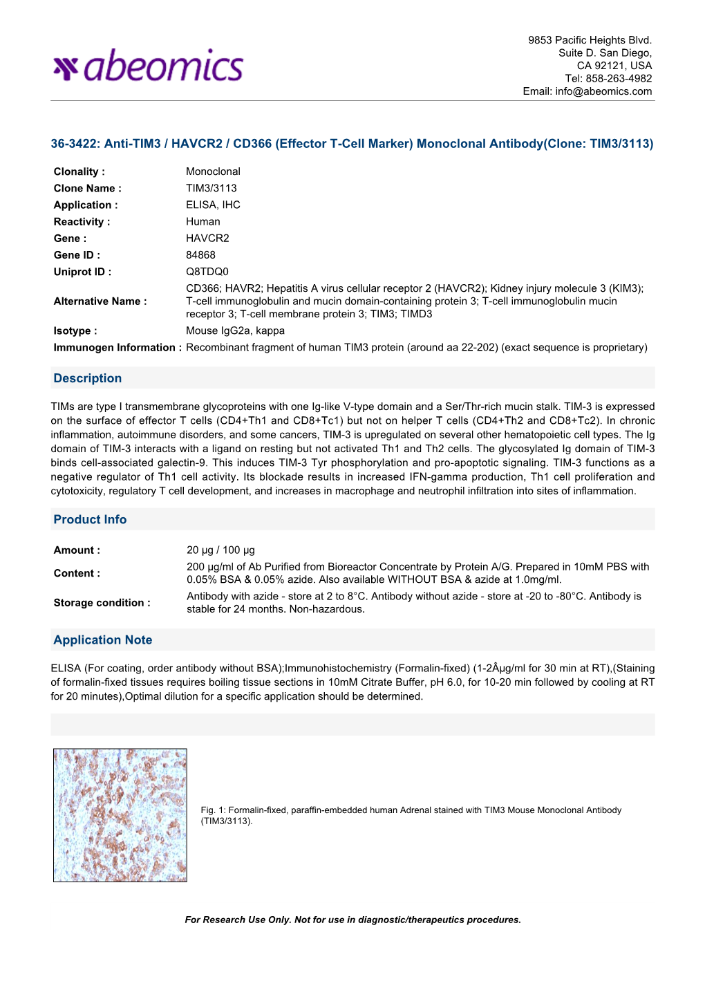 Anti-TIM3 / HAVCR2 / CD366 (Effector T-Cell Marker) Monoclonal Antibody(Clone: TIM3/3113)