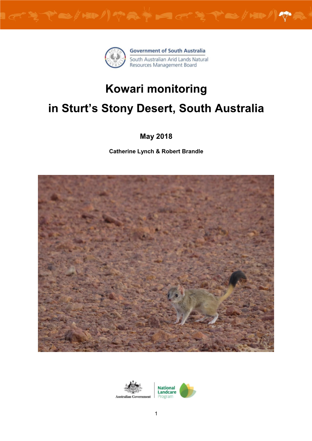 Kowari Monitoring in Sturt's Stony Desert, South Australia