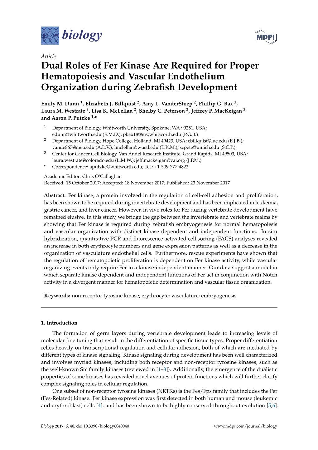 Dual Roles of Fer Kinase Are Required for Proper Hematopoiesis and Vascular Endothelium Organization During Zebraﬁsh Development