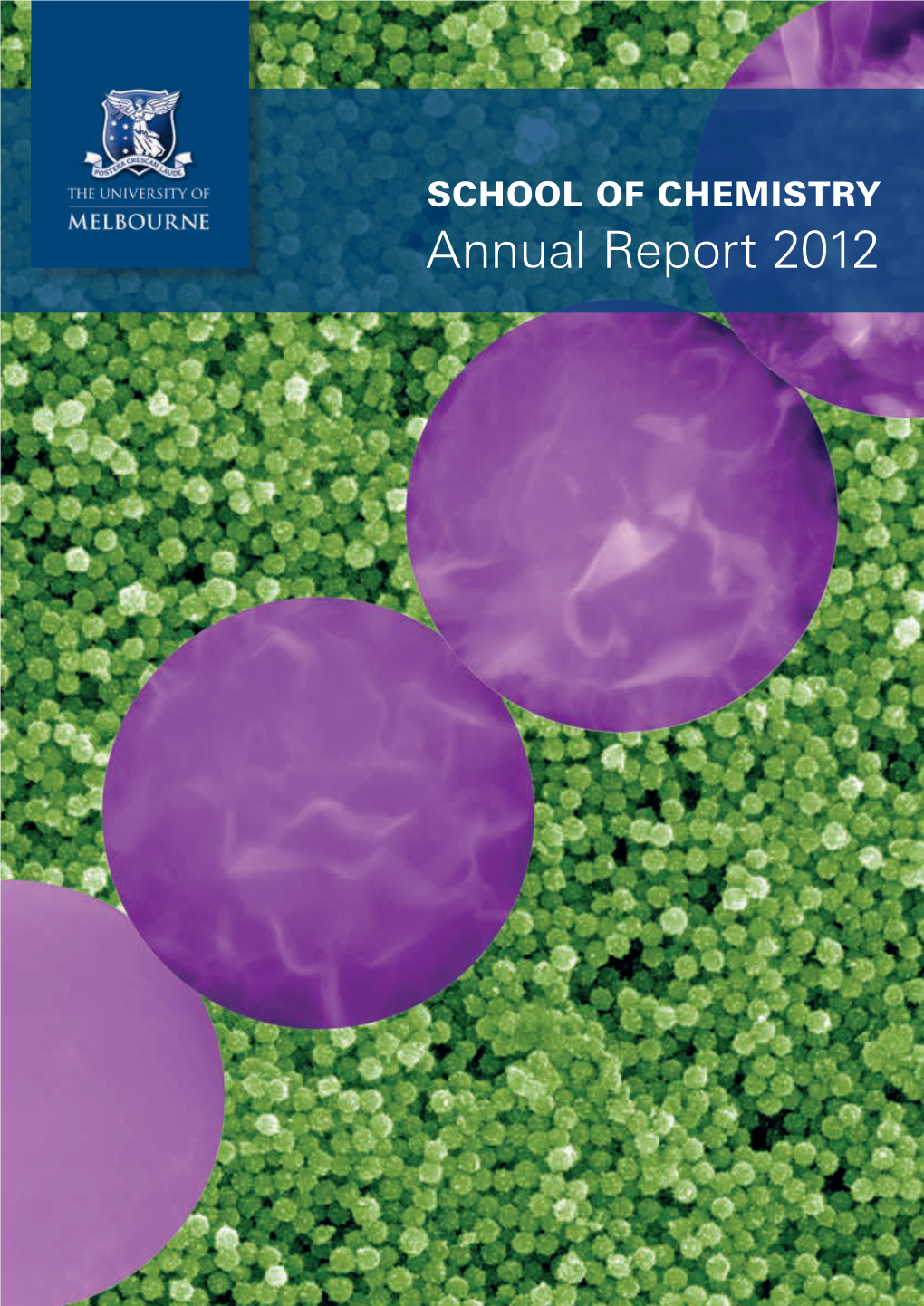 Annual Report 2012