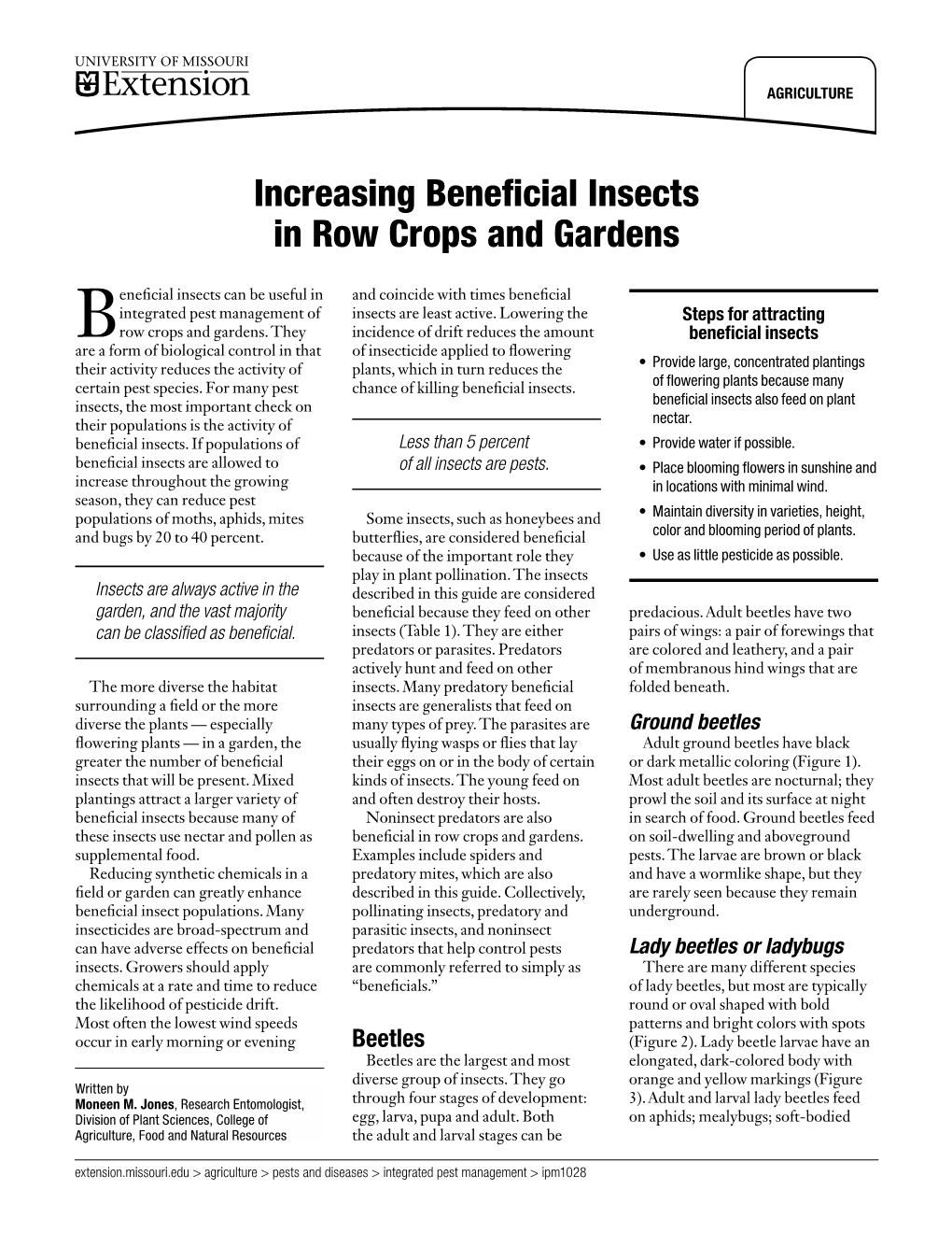 Increasing Beneficial Insects in Row Crops and Gardens