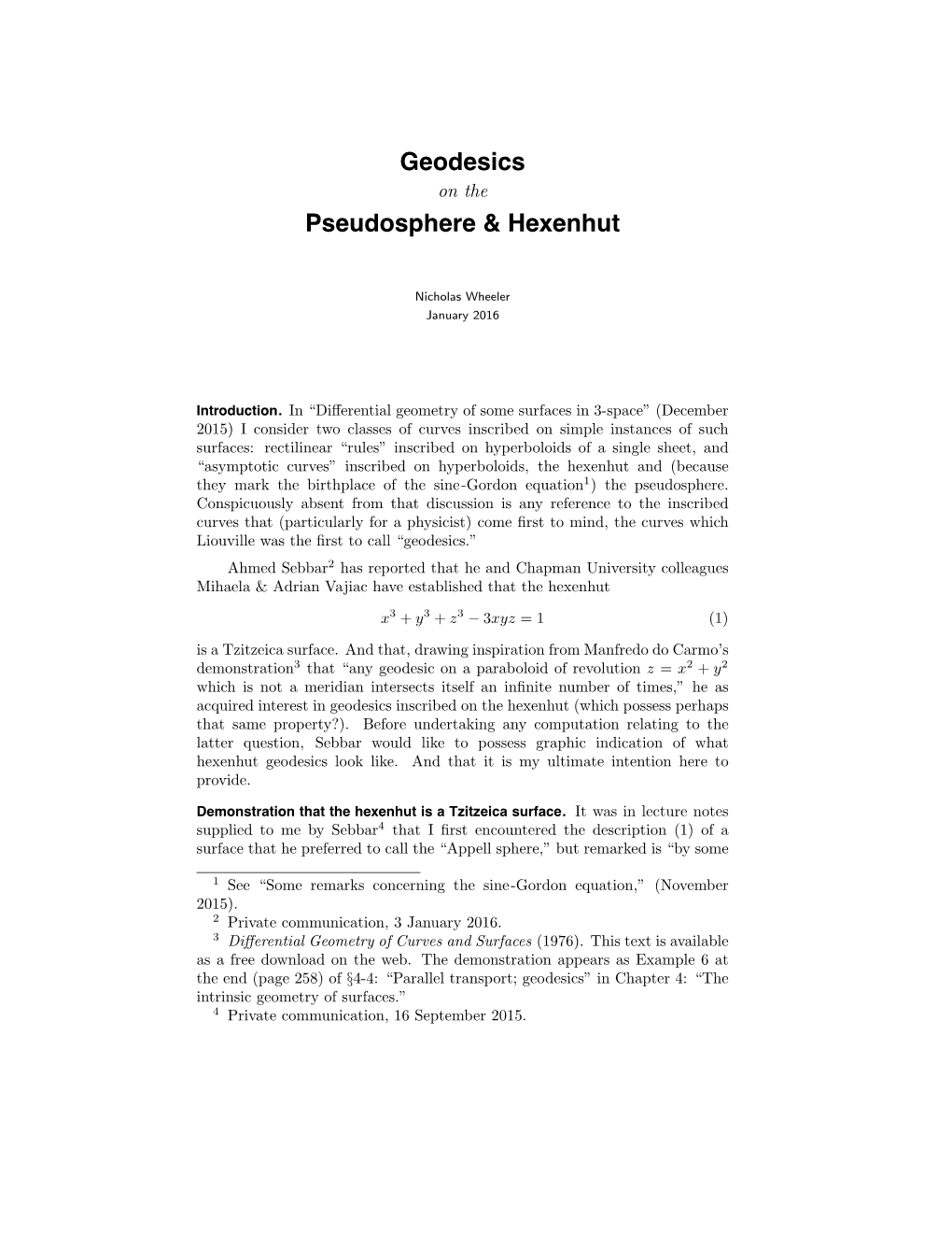 Geodesics Pseudosphere & Hexenhut