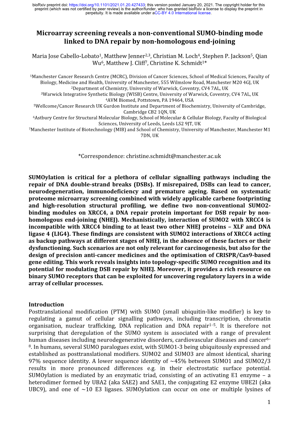 Microarray Screening Reveals a Non-Conventional SUMO-Binding Mode Linked to DNA Repair by Non-Homologous End-Joining