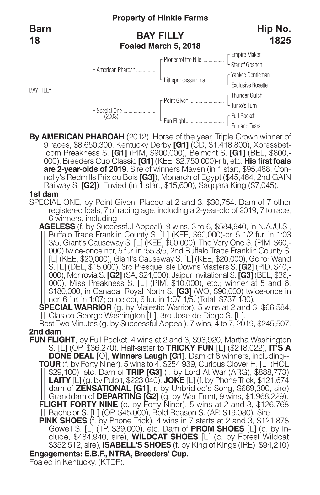 BAY FILLY Barn 18 Hip No. 1825