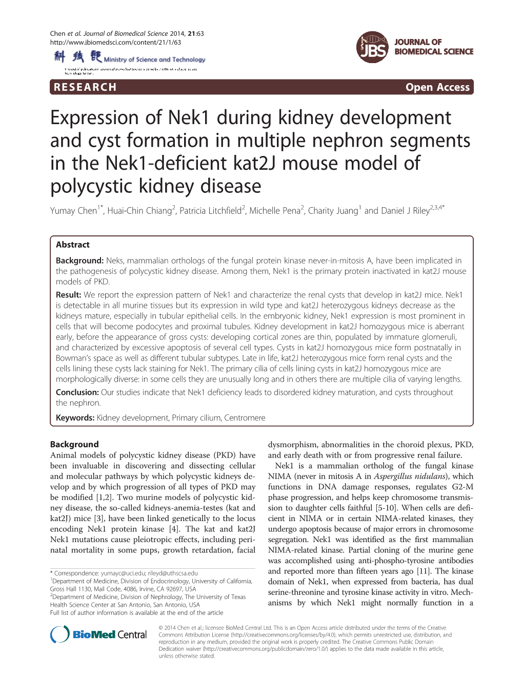 Expression of Nek1 During Kidney Development and Cyst Formation in Multiple Nephron