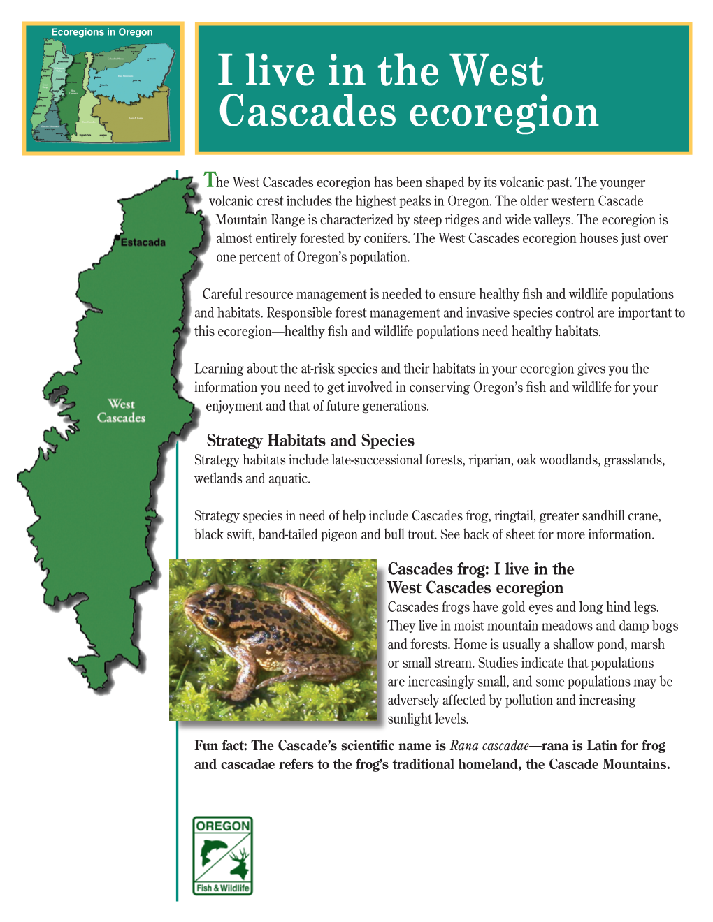 West Cascades Ecoregion