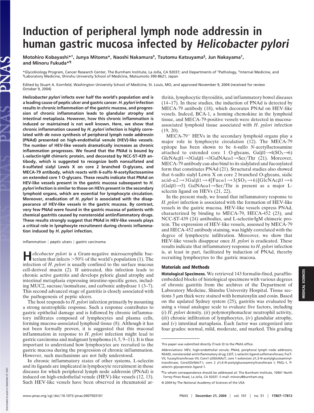 Induction of Peripheral Lymph Node Addressin in Human Gastric Mucosa Infected by Helicobacter Pylori