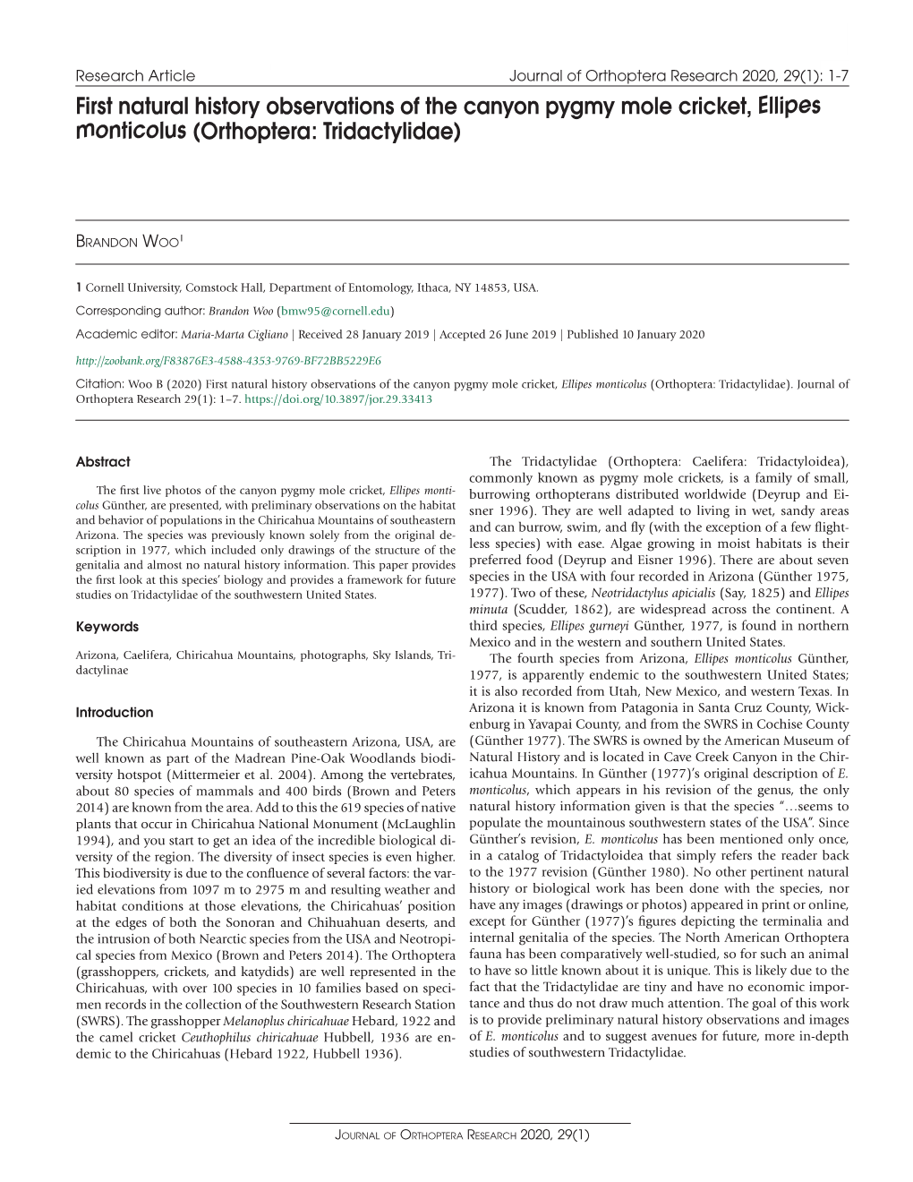 ﻿First Natural History Observations of the Canyon Pygmy Mole Cricket, Ellipes