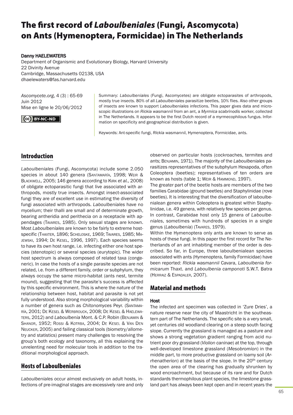 The First Record of Laboulbeniales (Fungi, Ascomycota) on Ants