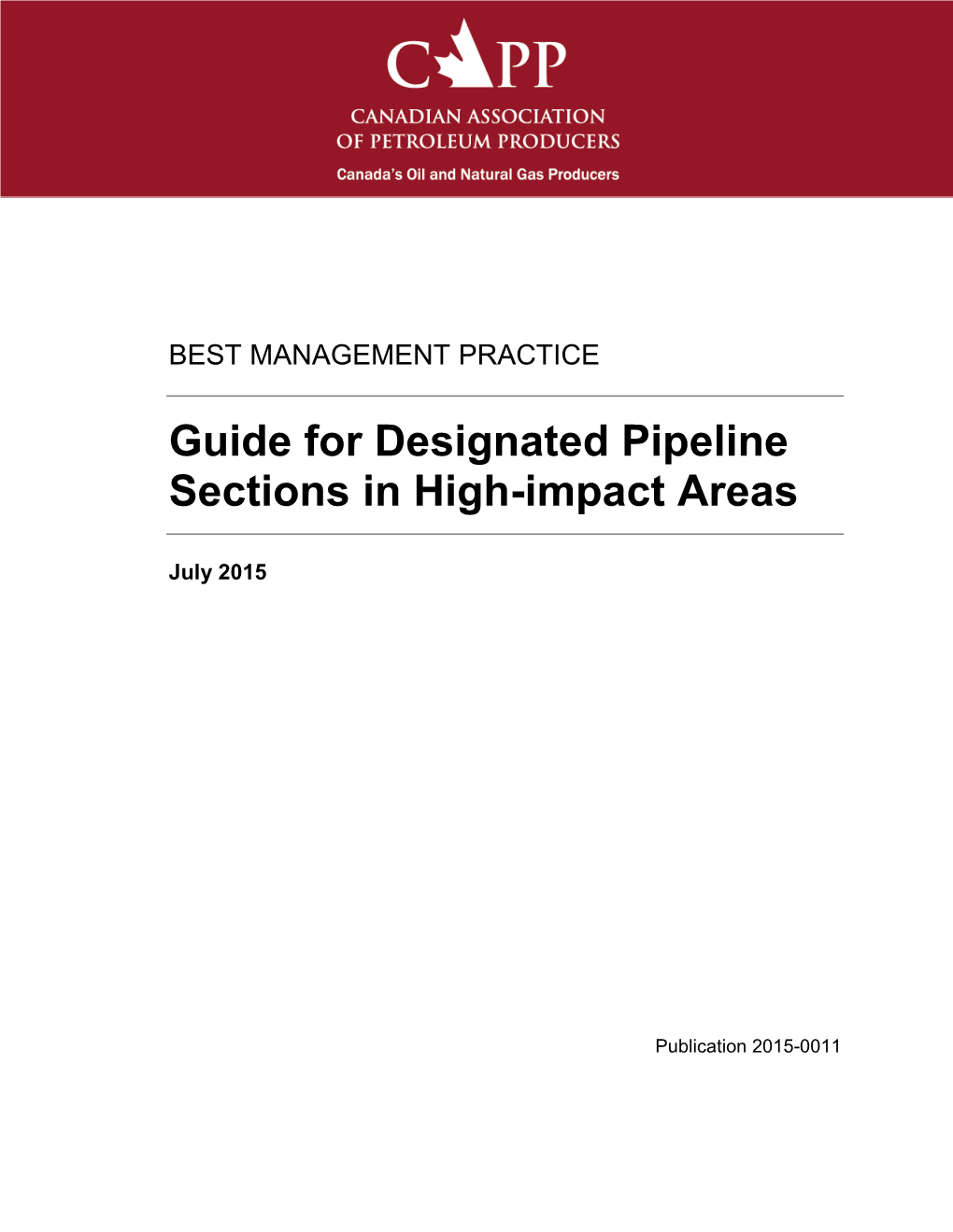 Guide for Designated Pipeline Sections in High-Impact Areas