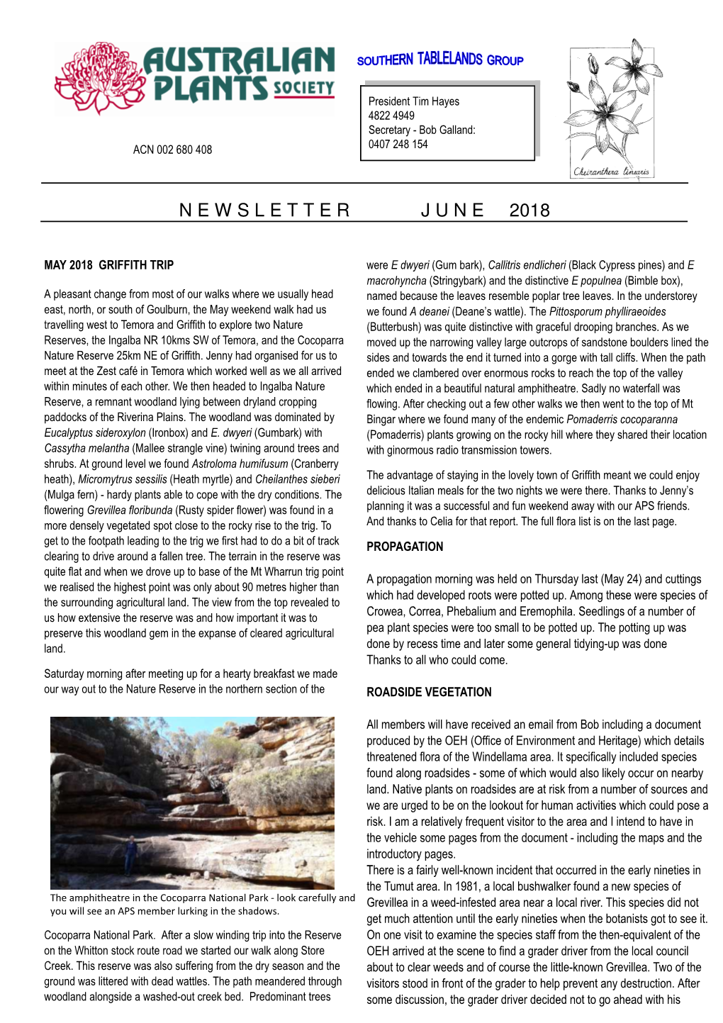 Newsletter June