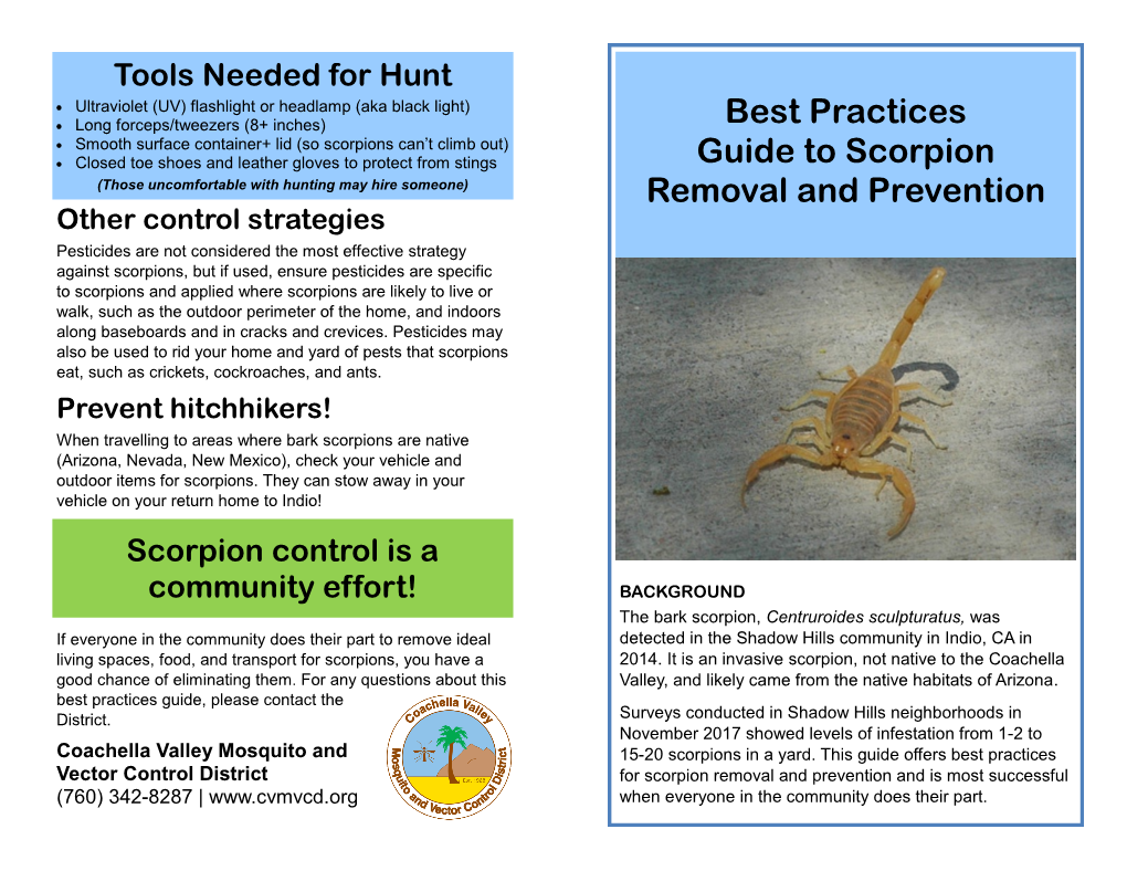 Best Practices Guide to Scorpion Removal and Prevention