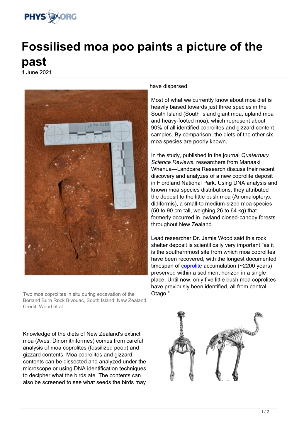 Fossilised Moa Poo Paints a Picture of the Past 4 June 2021