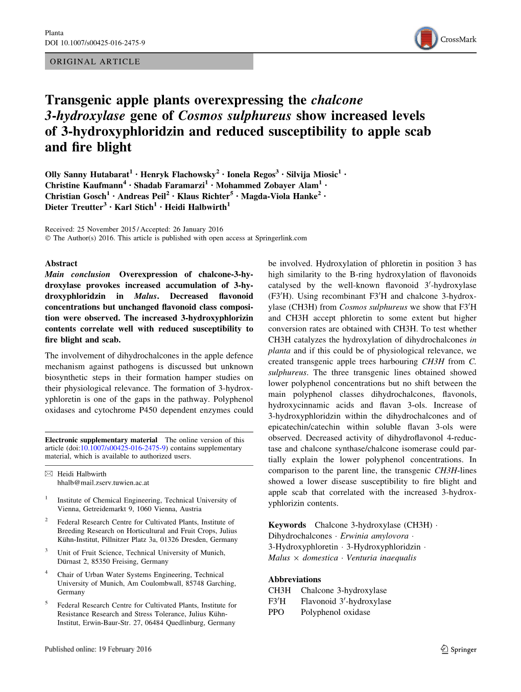 Transgenic Apple Plants Overexpressing the Chalcone 3