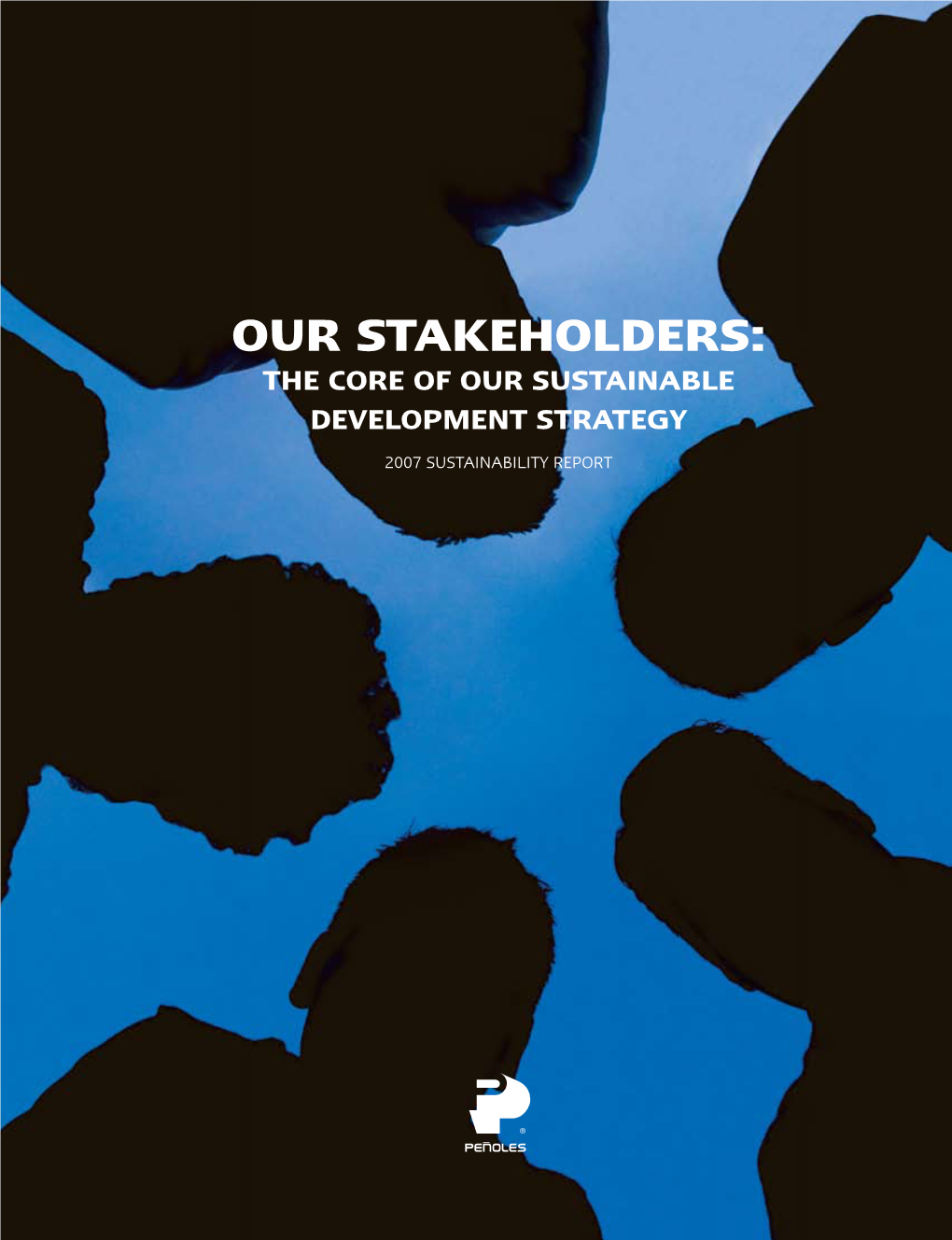Our Stakeholders: the Core of Our Sustainable Development Strategy 2007 Sustainability Report About This Report (3.1, 3.2, 3.3, 3.5, 3.6, 3.7, 3.8, 3.9, 3.13)