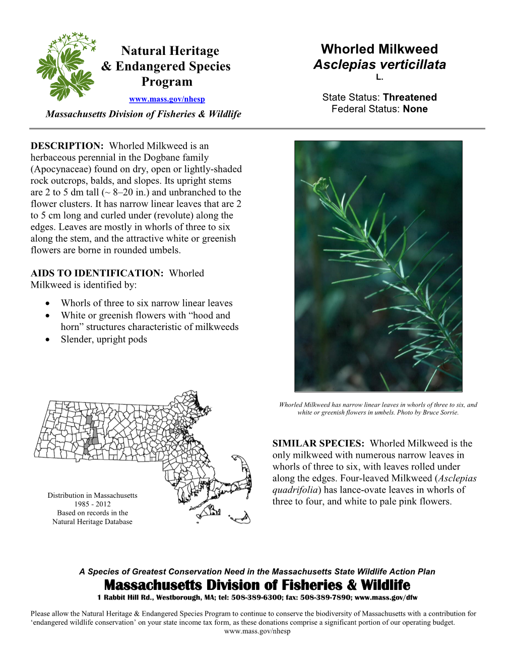 Natural Heritage Whorled Milkweed & Endangered Species Asclepias Verticillata Program