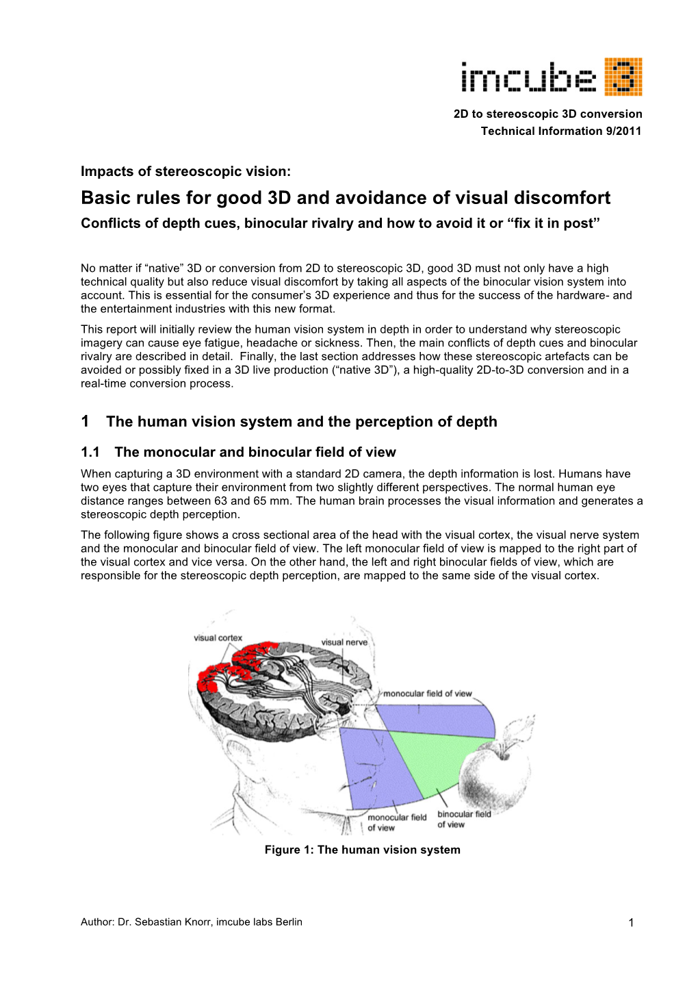 Impacts of Stereoscopic Vision