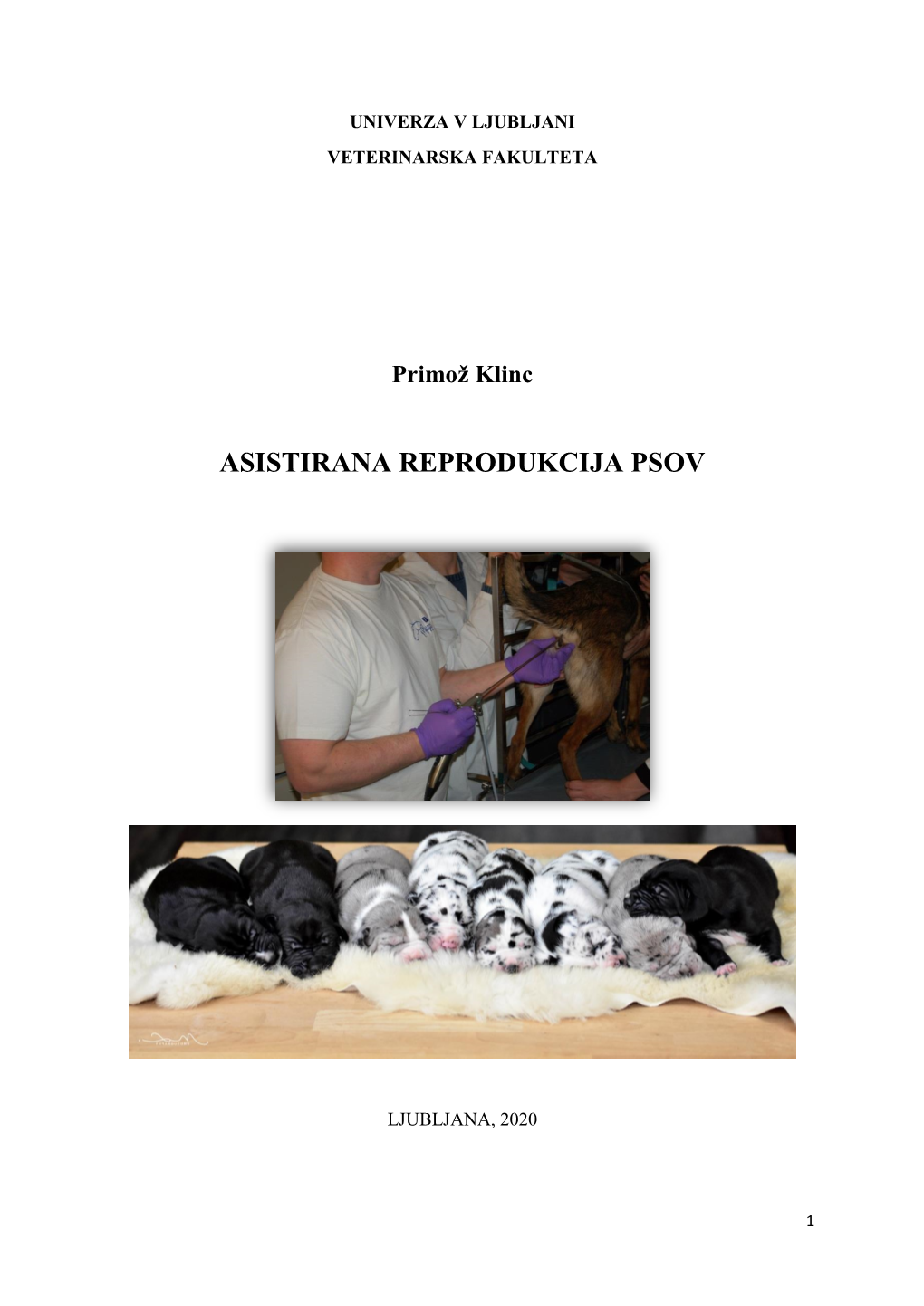 Asistirana Reprodukcija Psov