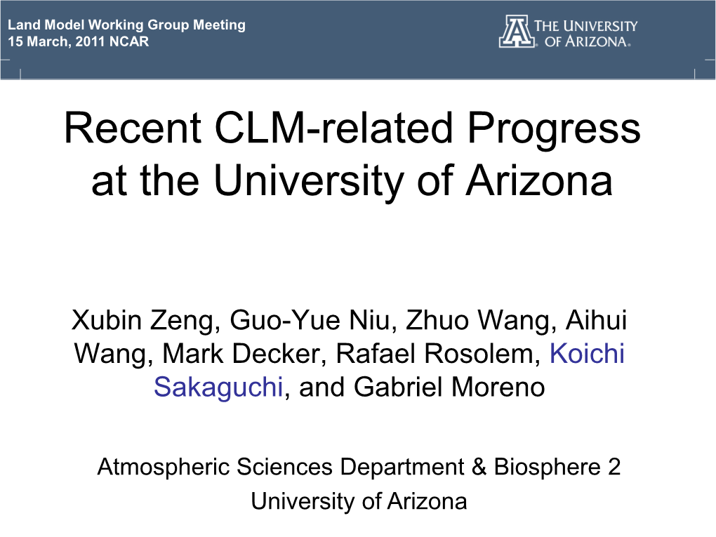 Recent CLM-Related Progress at University of Arizona