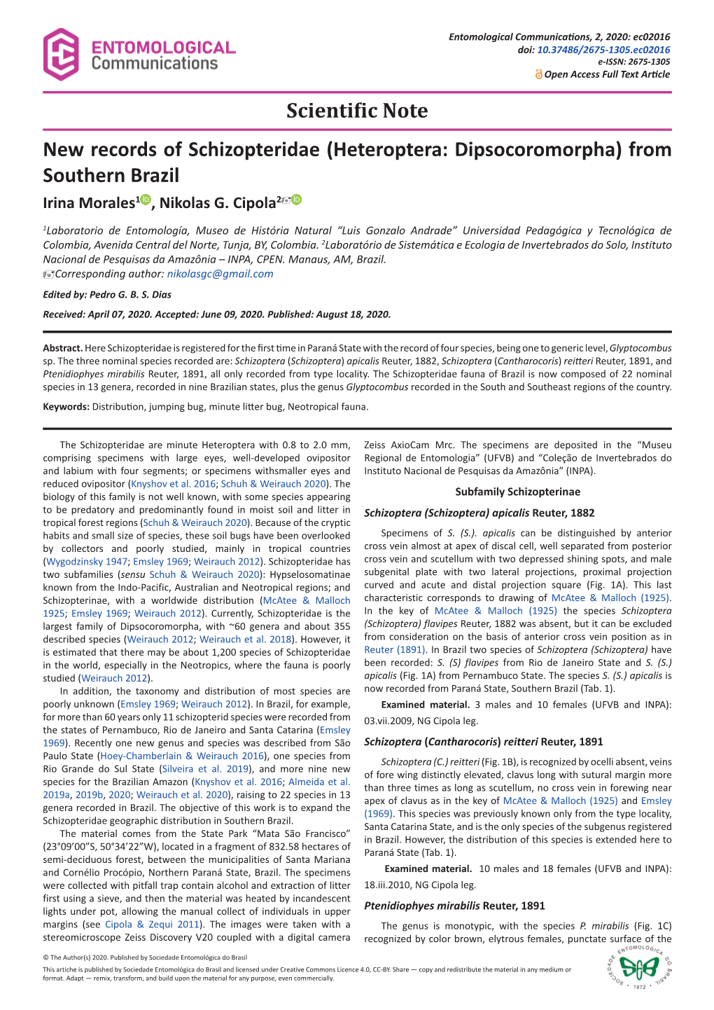 Heteroptera: Dipsocoromorpha) from Southern Brazil Irina Morales1 , Nikolas G