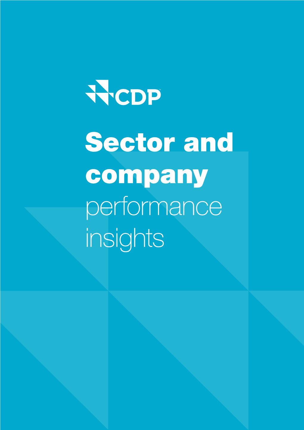 Sector and Company Performance Insights Contents