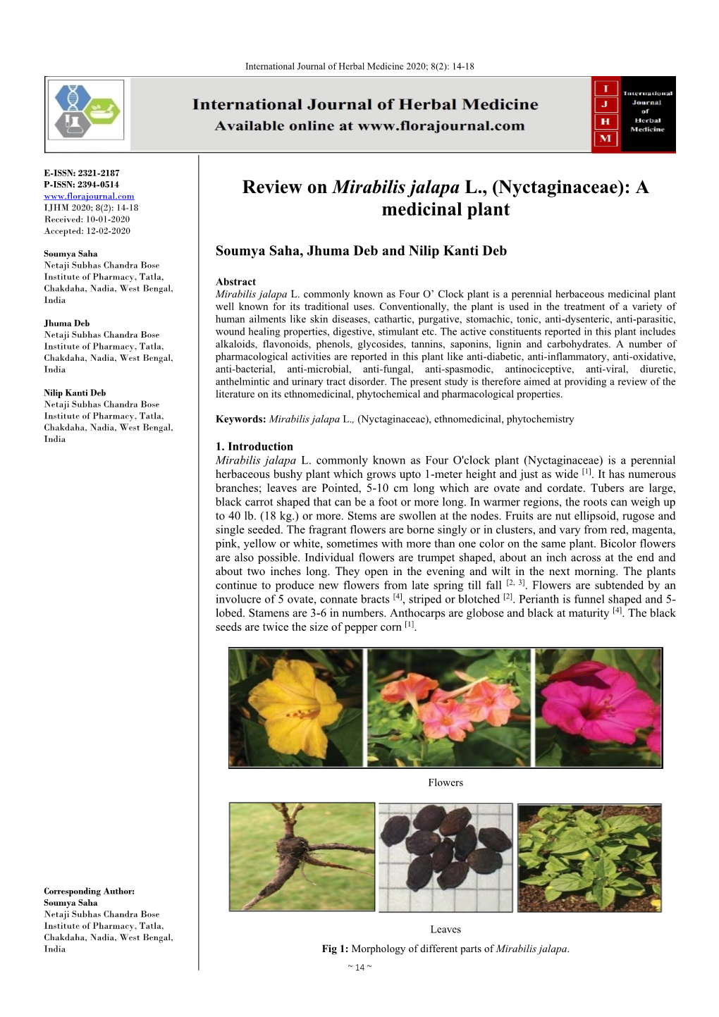 Review on Mirabilis Jalapa L., (Nyctaginaceae): a Medicinal Plant