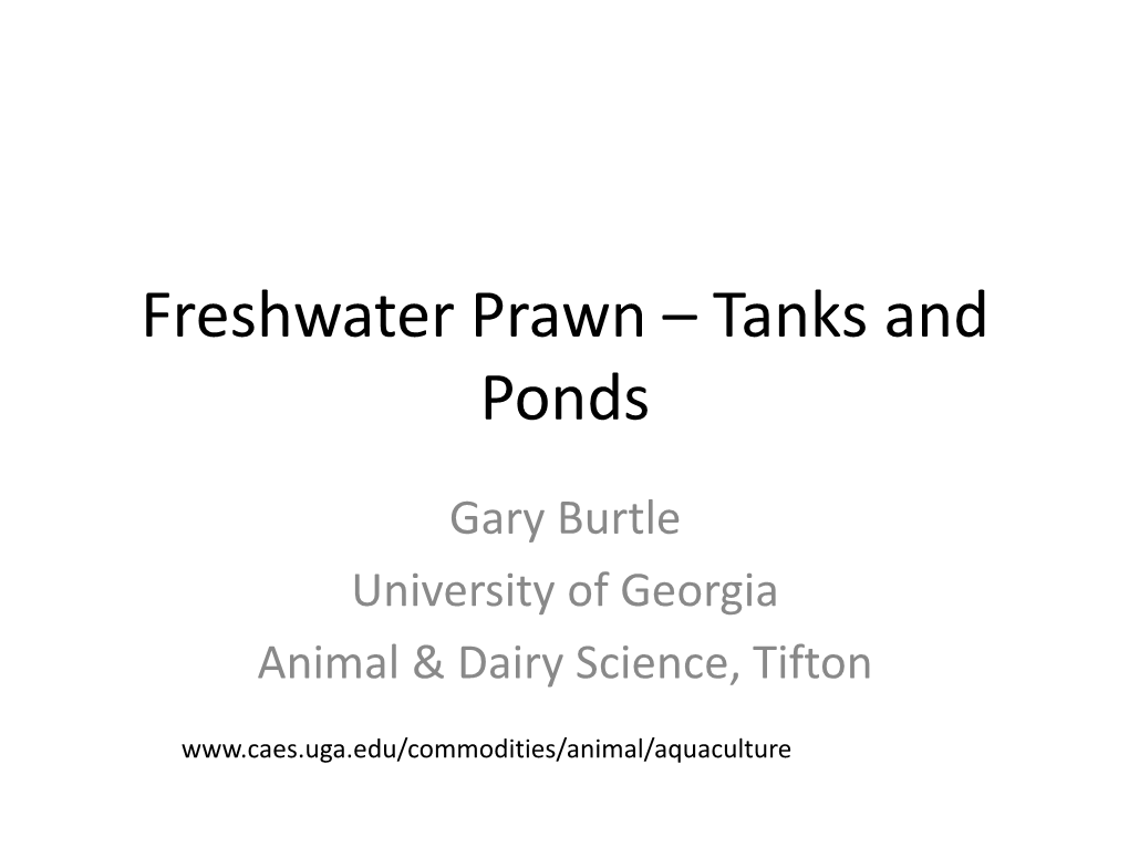 Freshwater Prawn – Tanks and Ponds
