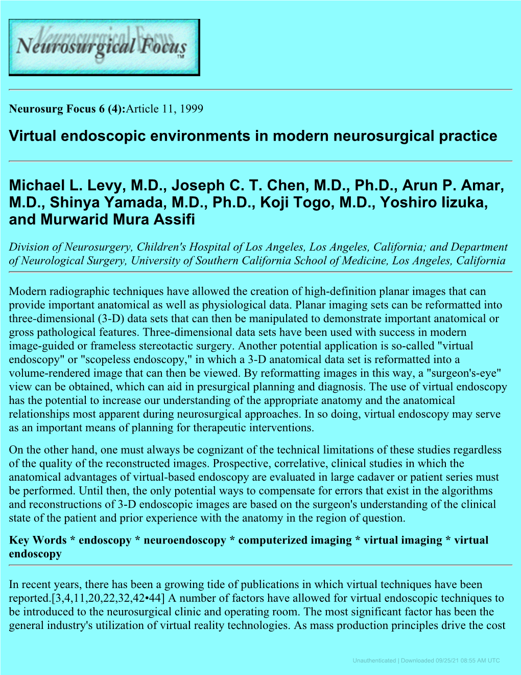 Virtual Endoscopic Environments in Modern Neurosurgical Practice