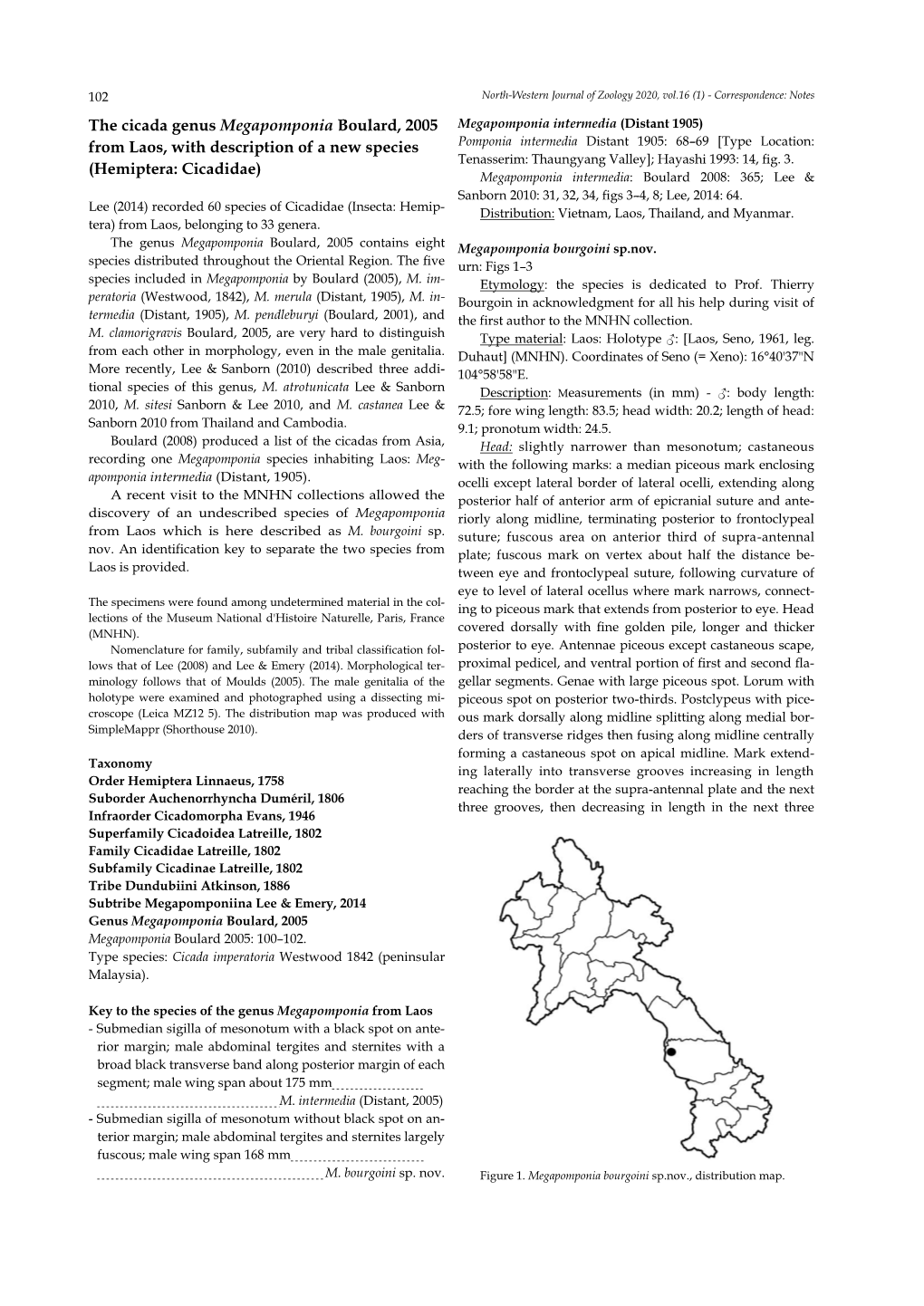 The Cicada Genus Megapomponia Boulard, 2005 from Laos, With