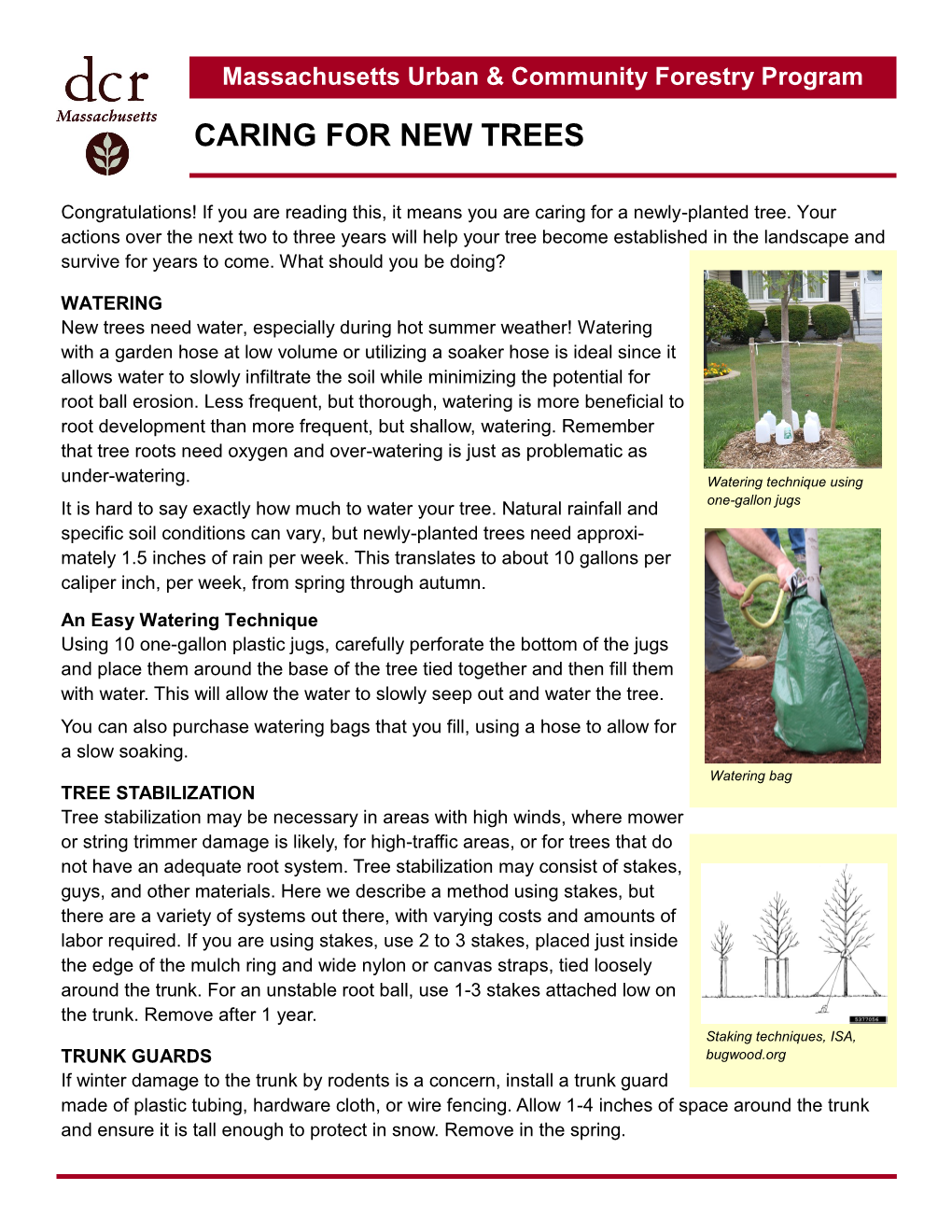 Caring for New Trees