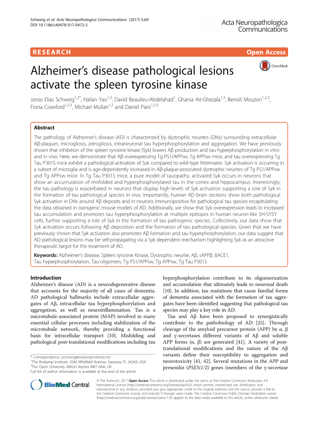 Alzheimer's Disease Pathological Lesions Activate the Spleen Tyrosine