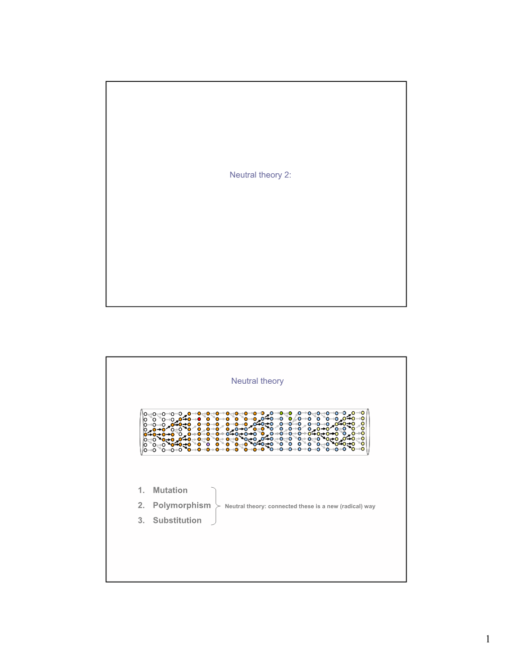 Neutral Theory 2: Neutral Theory 1. Mutation 2. Polymorphism 3