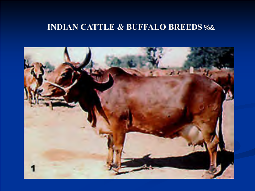 Indian Cattle & Buffalo Breeds%&