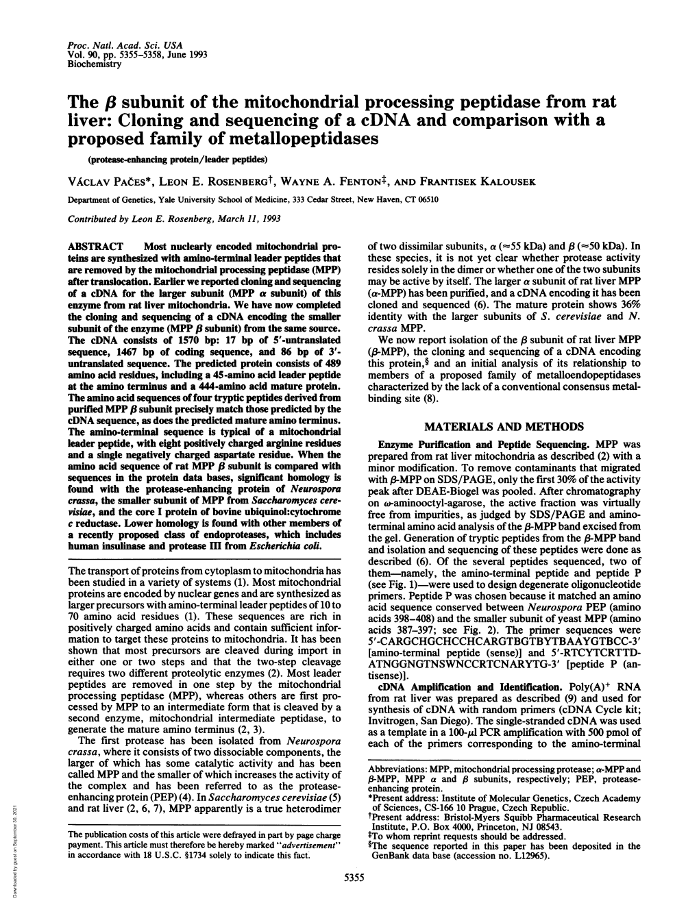 The F3 Subunit of the Mitochondrial Processing Peptidase from Rat