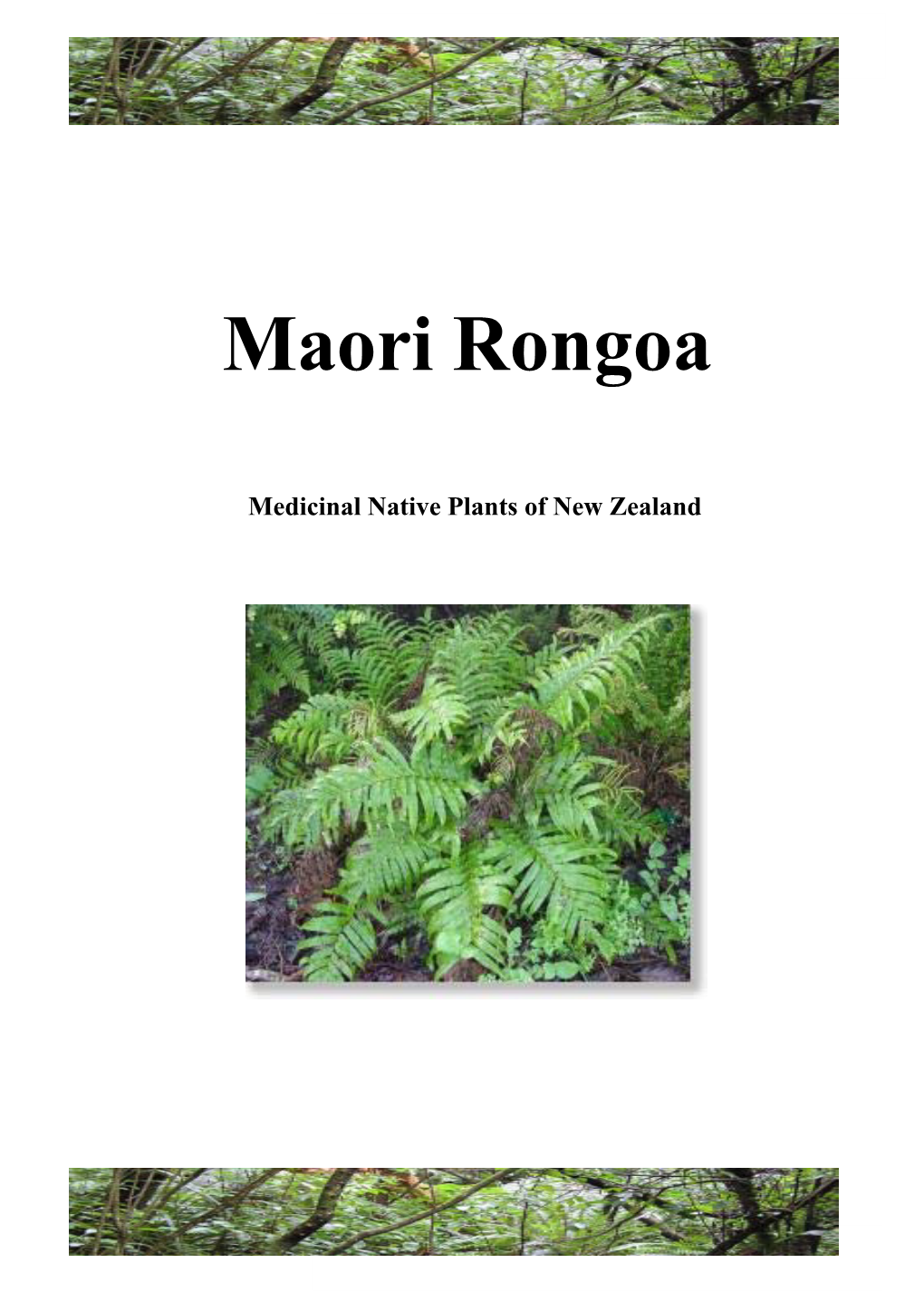 Rongoa Maori, Medicinal Native Plants of New Zealand