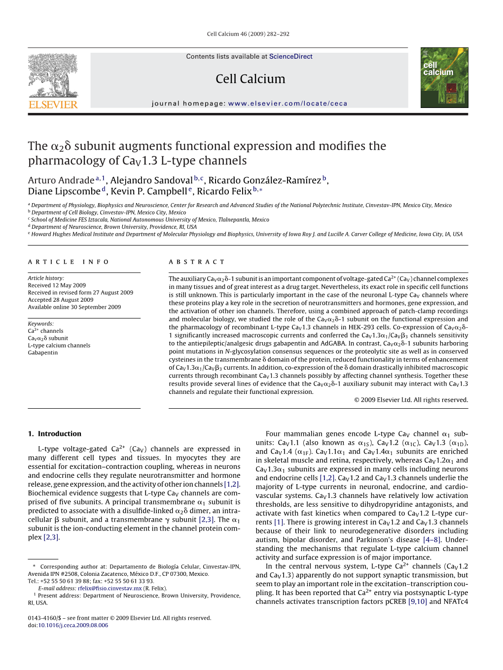 Cell Calcium the 2 Subunit Augments Functional Expression and Modifies