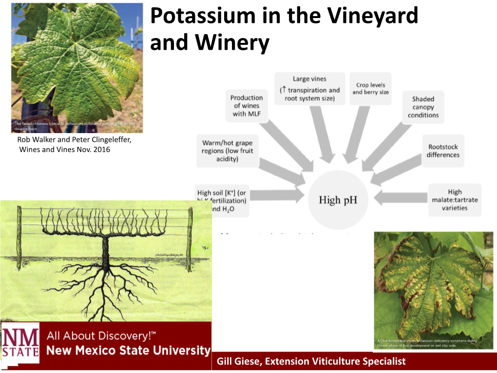 Potassium in the Vineyard and Winery