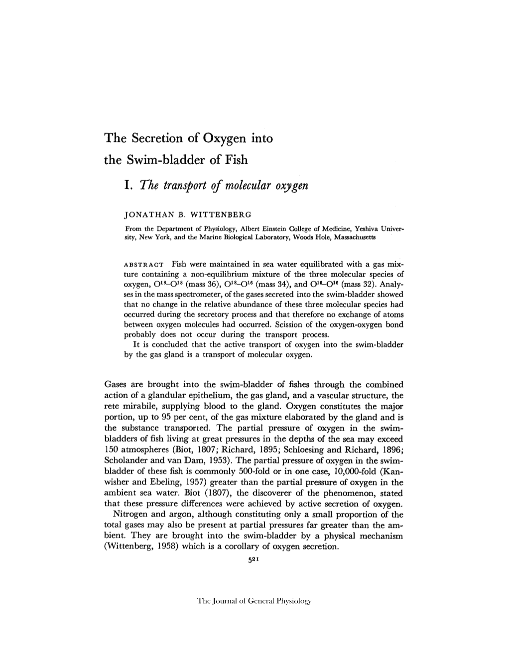 The Secretion of Oxygen Into the Swim-Bladder of Fish I. the Transport of Molecular Oxygen