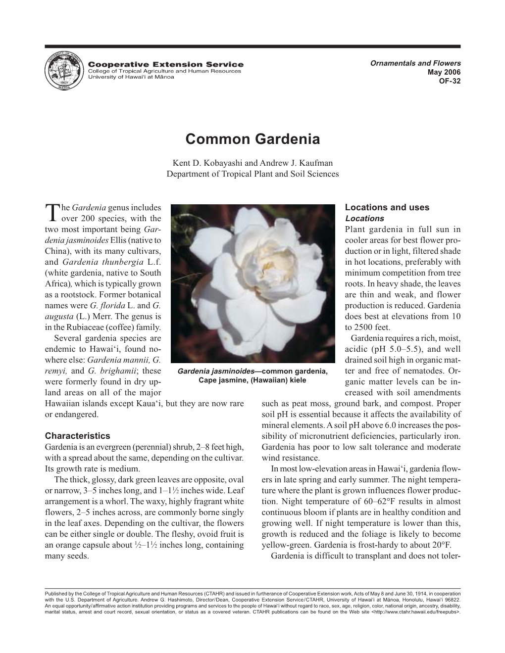 Common Gardenia