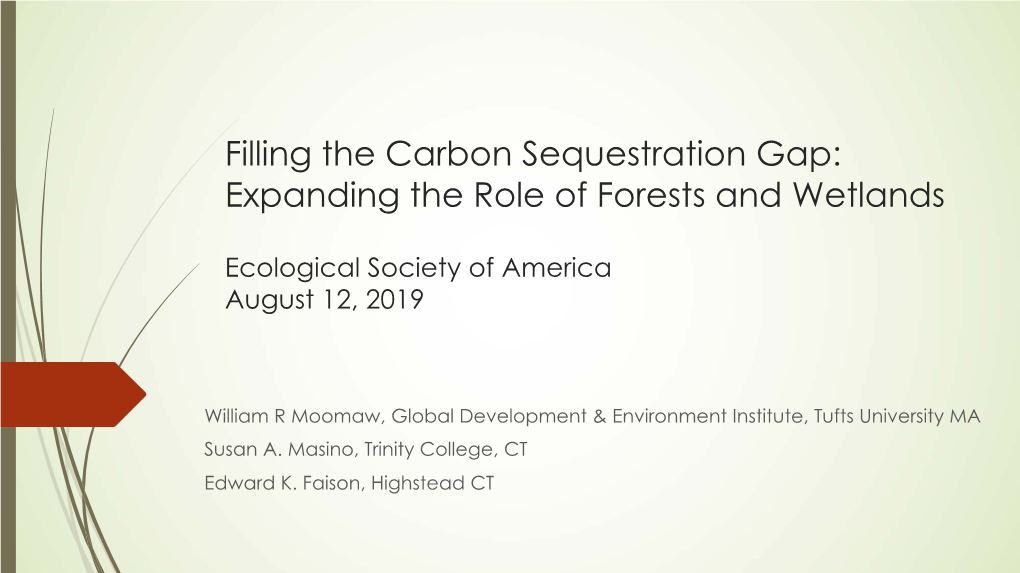 Filling the Carbon Sequestration Gap: Expanding the Role of Forests and Wetlands