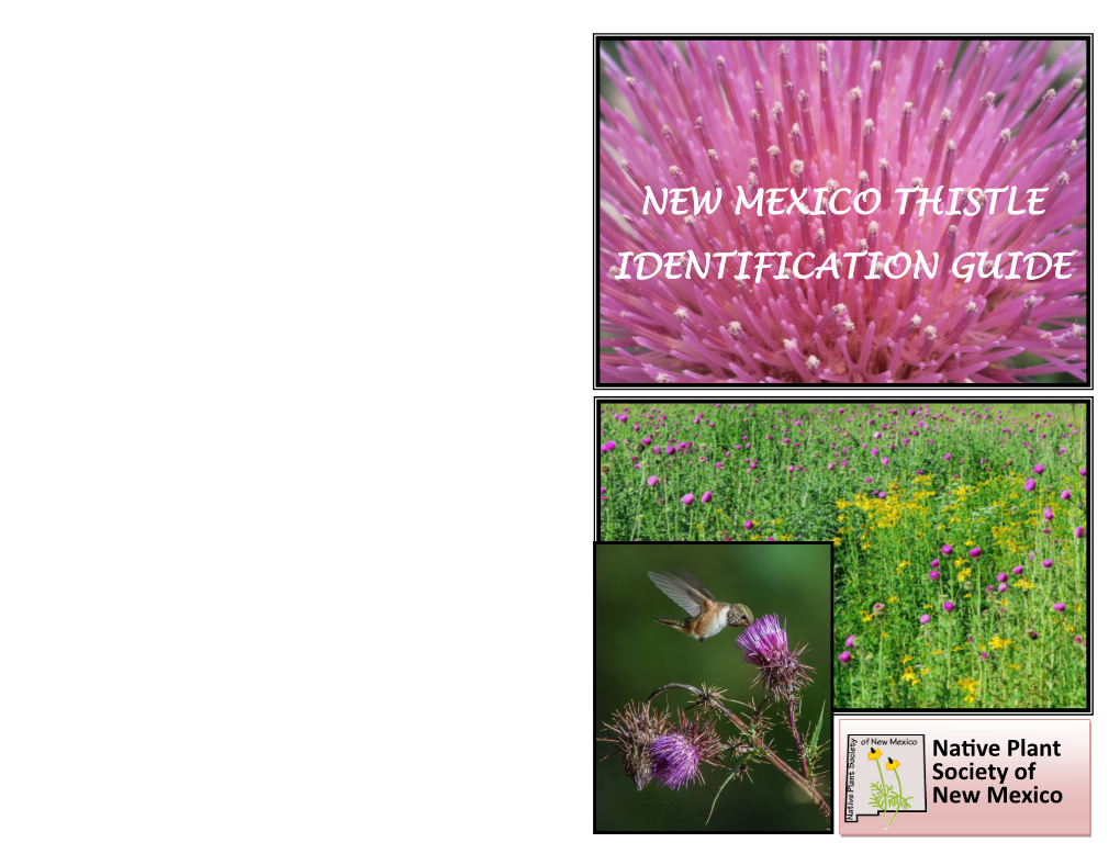 NM Thistle Identification Guide