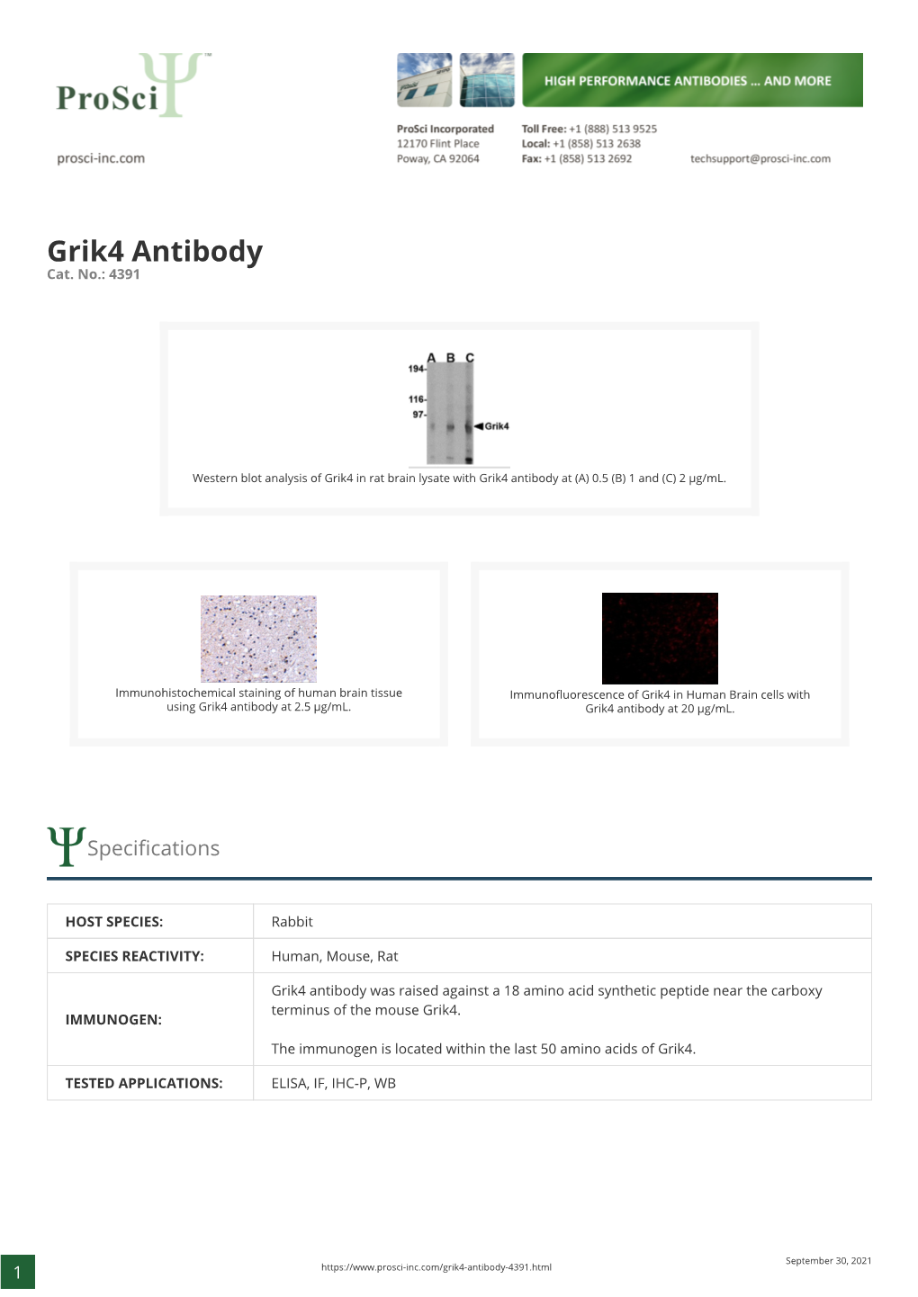 Grik4 Antibody Cat