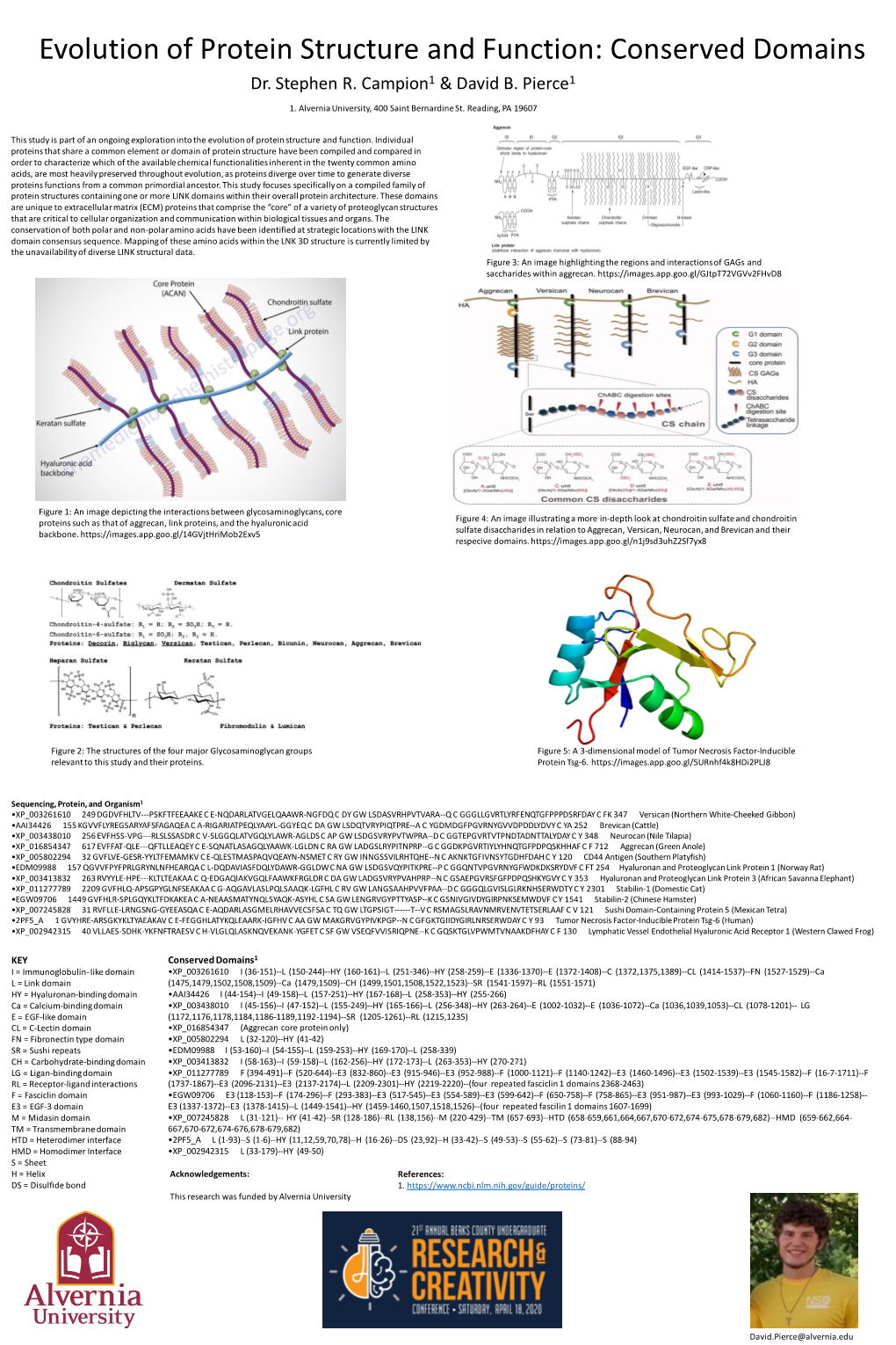 Evolution of Protein Structure and Function: Conserved Domains Dr