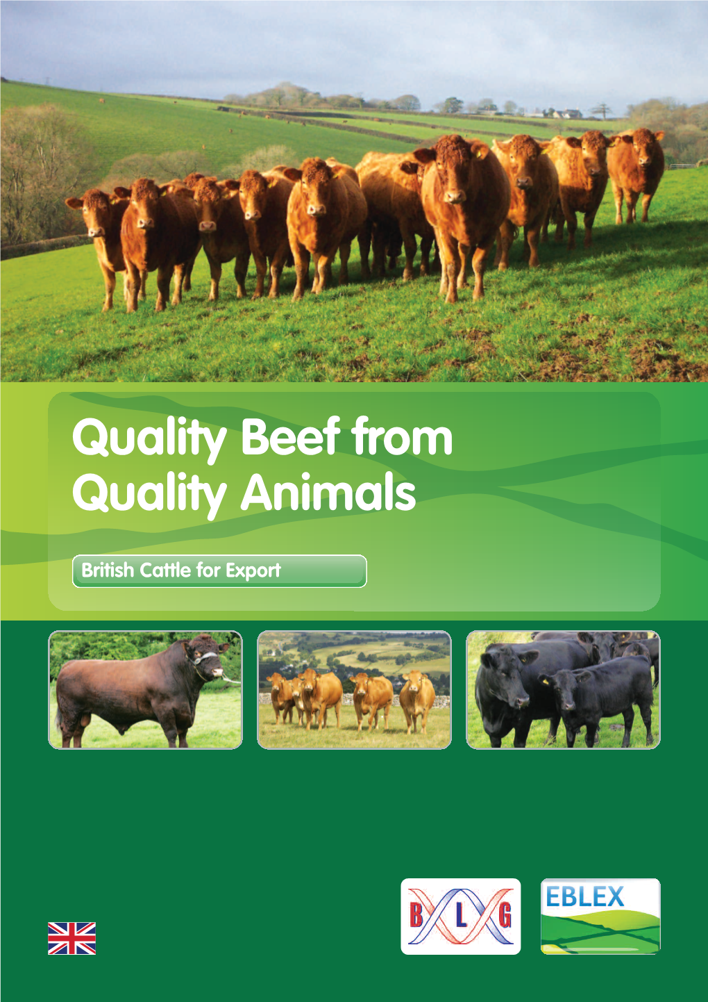 Quality Beef from Quality Animals