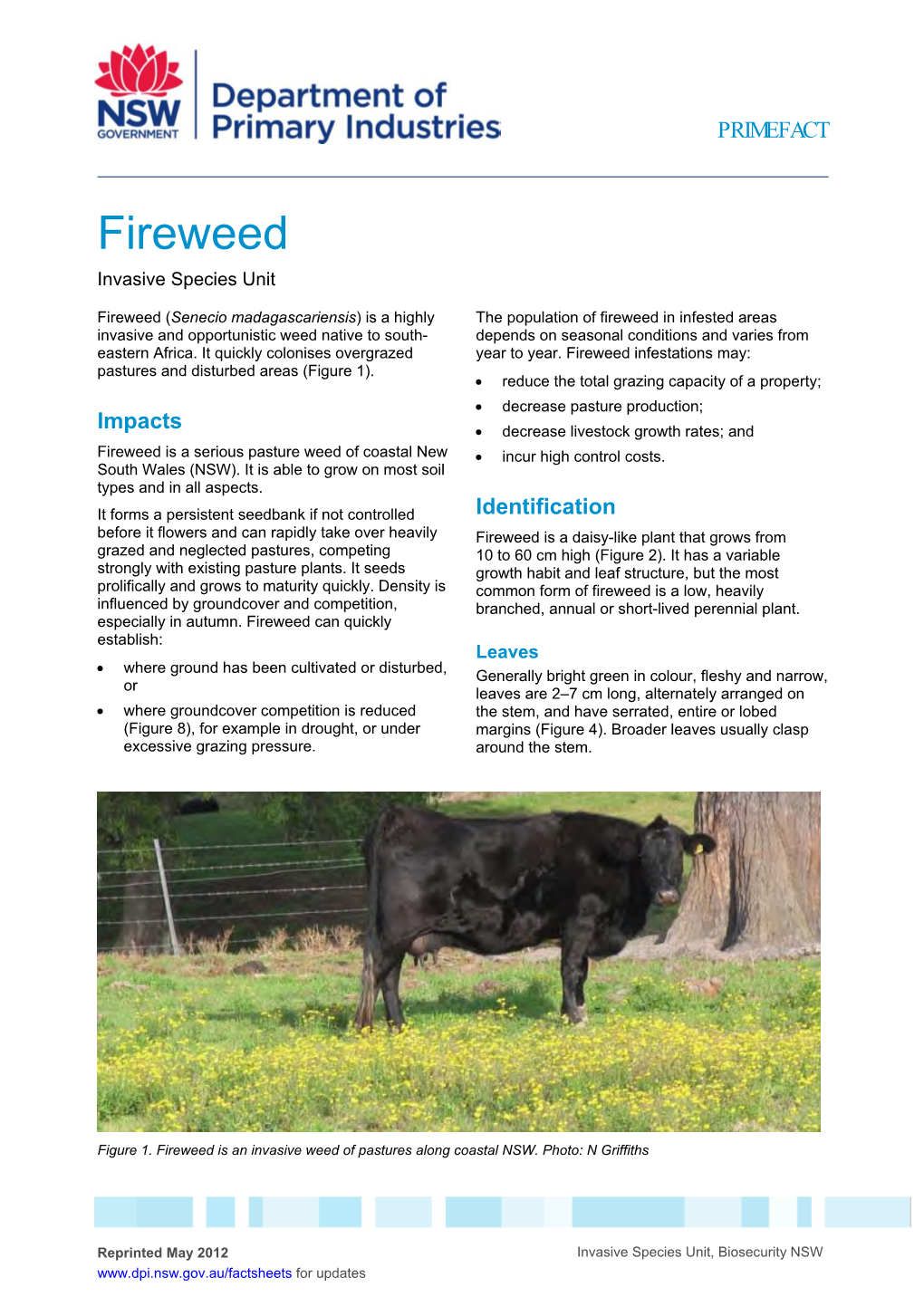 Fireweed Invasive Species Unit