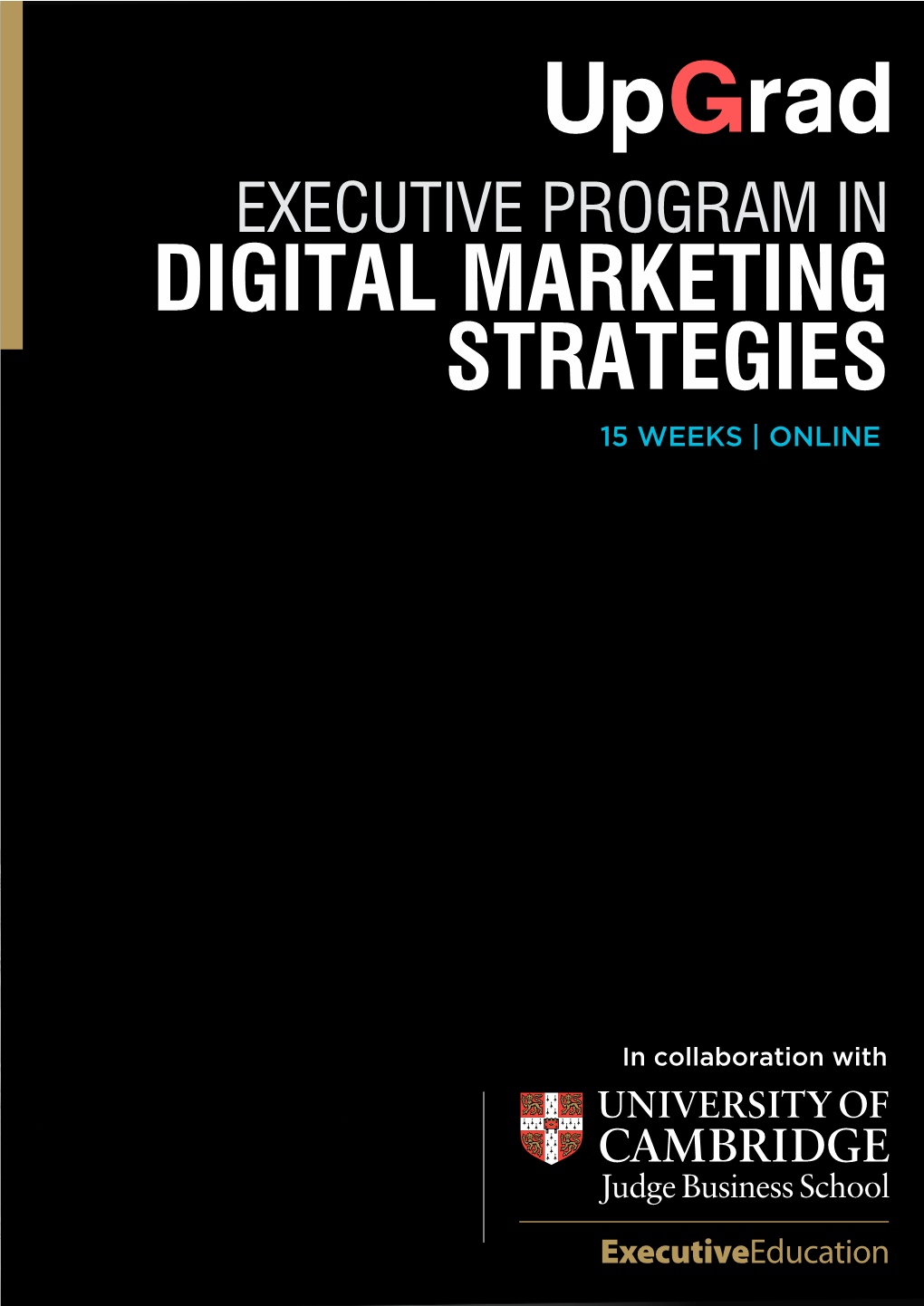 Executive Program in Digital Marketing Strategies 15 Weeks | Online