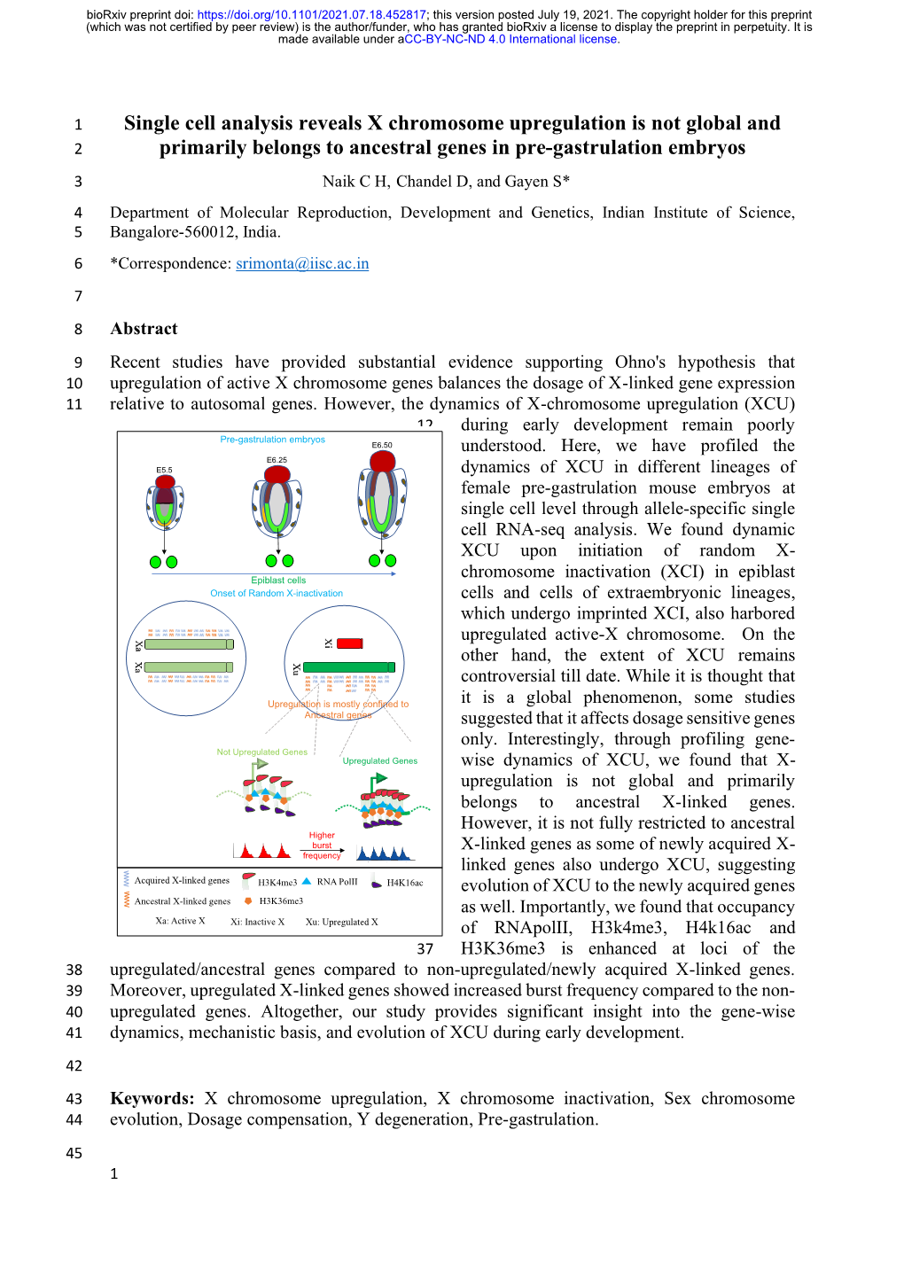 Single Cell Analysis Reveals X Chromosome Upregulation Is Not